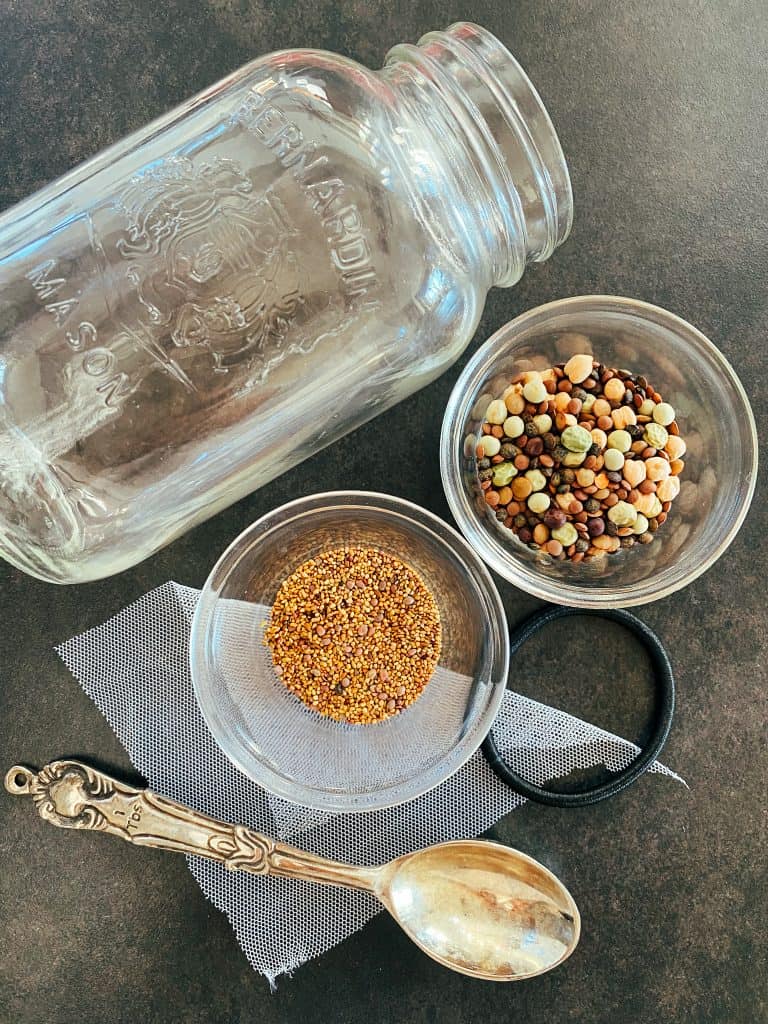 Overhead view of sprouting seeds, a jar, tablespoon, ponytail, fine mesh.