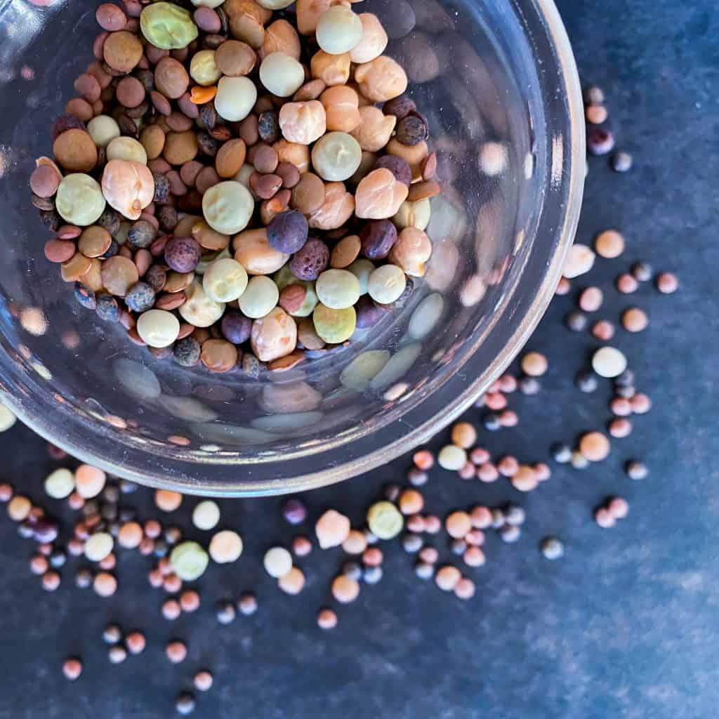 overhead view of bean sprouting seeds.