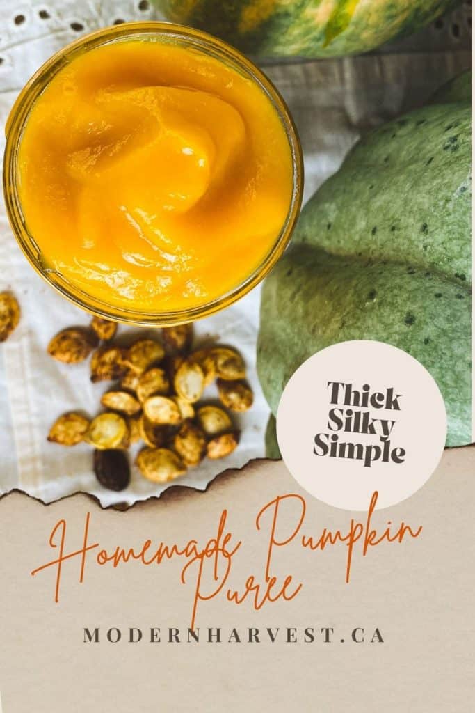 Pinterest image showing homemade pumpkin puree, a blue pumpkin, and roasted pumpkin seeds.