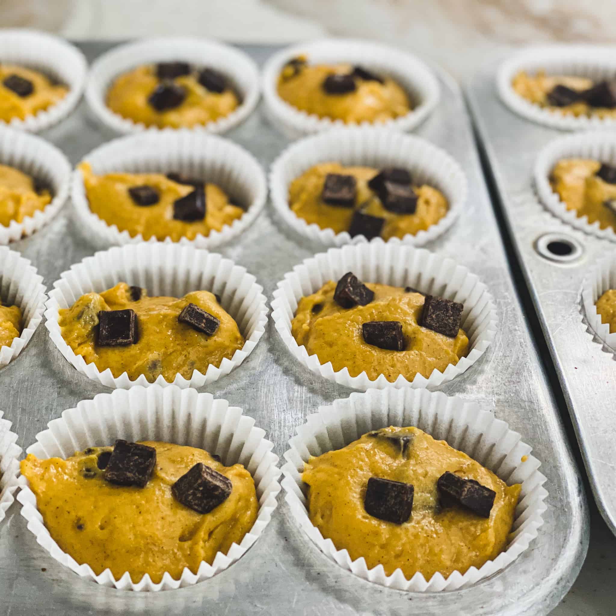 Pumpkin chocolate chunk muffins uncooked with extra chunks of chocolate sprinkled over top.