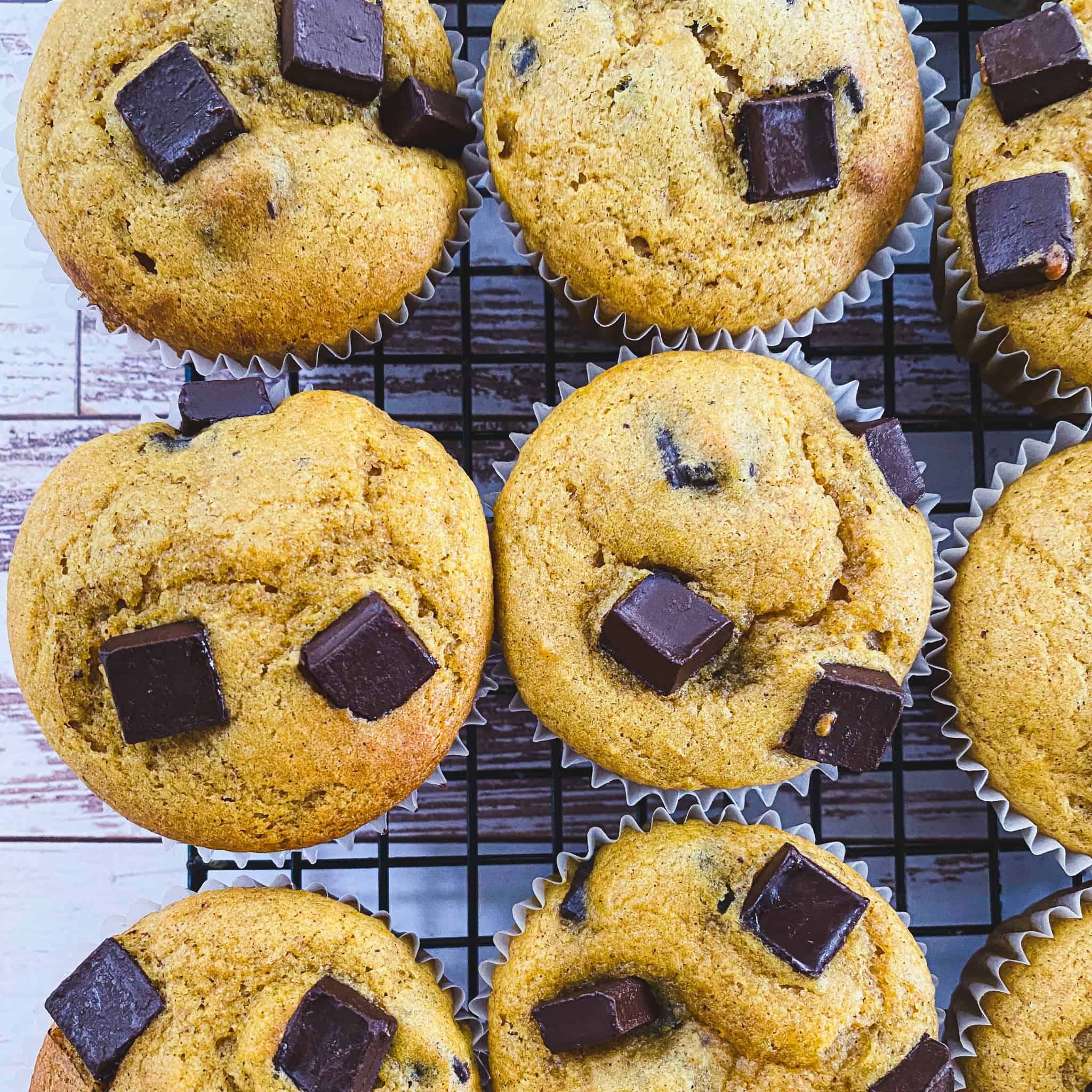 Pumpkin muffins on a cooling rack with big chunks of dark chocolate overtop.