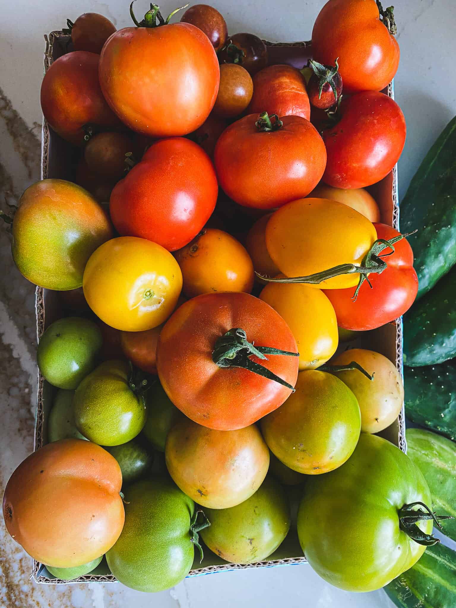 A box full of tomatoes including green, yellow, orange, and red tomatoes.