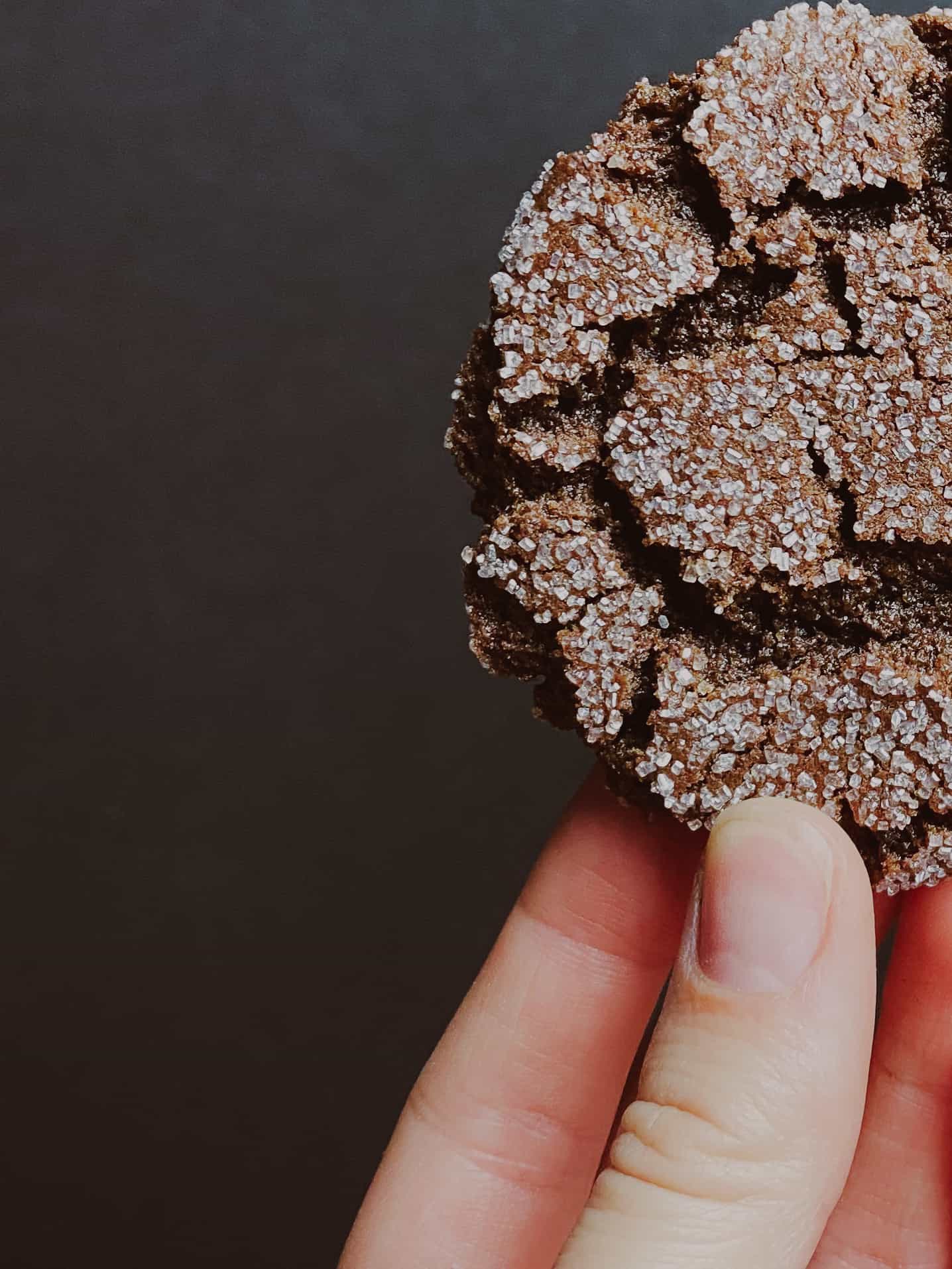 Crackled topped espresso cookie being held with one hand.