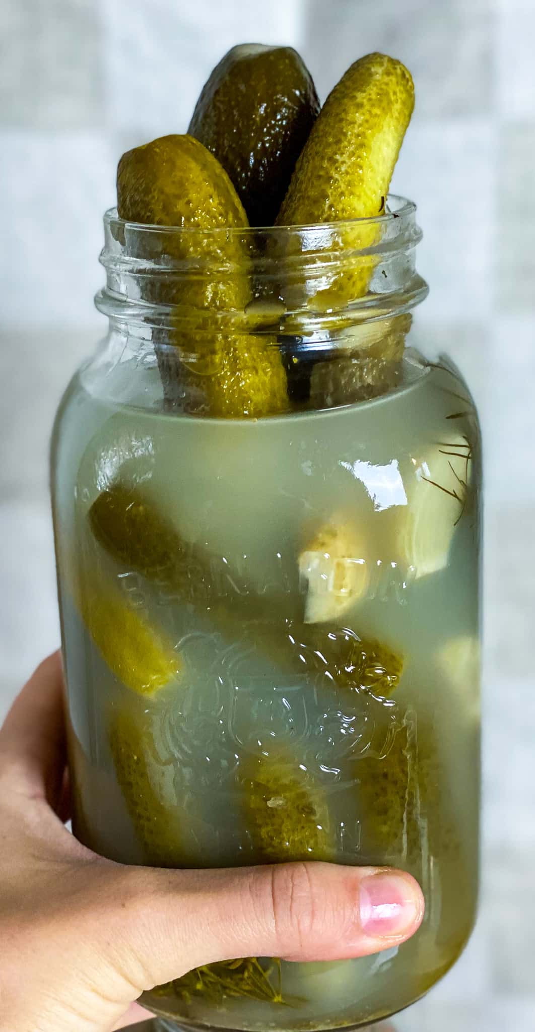 Quick Crunchy Old Fashioned Fermented Dill Pickles (With Video)