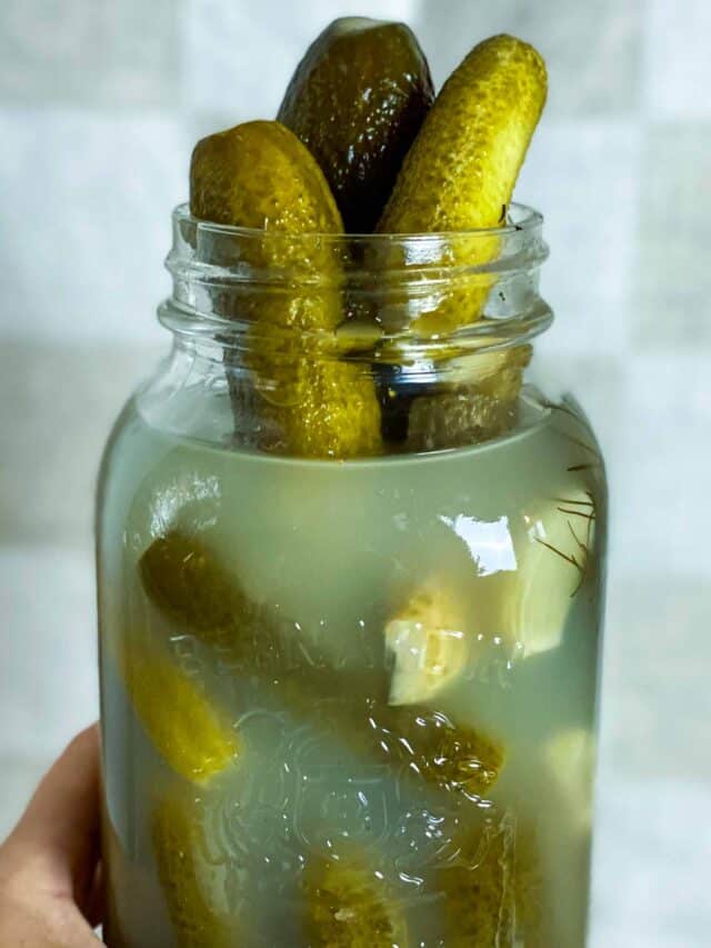 Fermented Dill Pickle Recipe | Probiotic Rich Pickles
