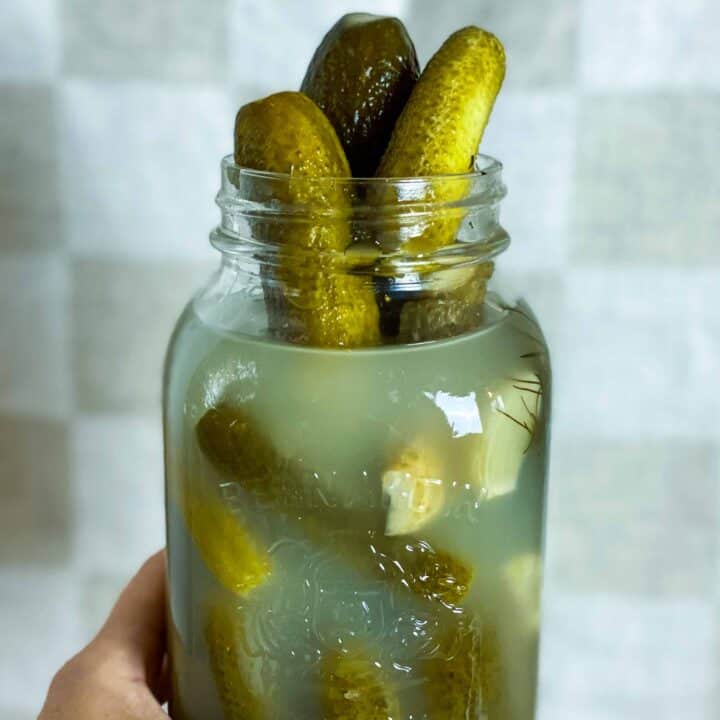 Lacto fermented dill pickles sticking out of a mason jar with cloudy brine.