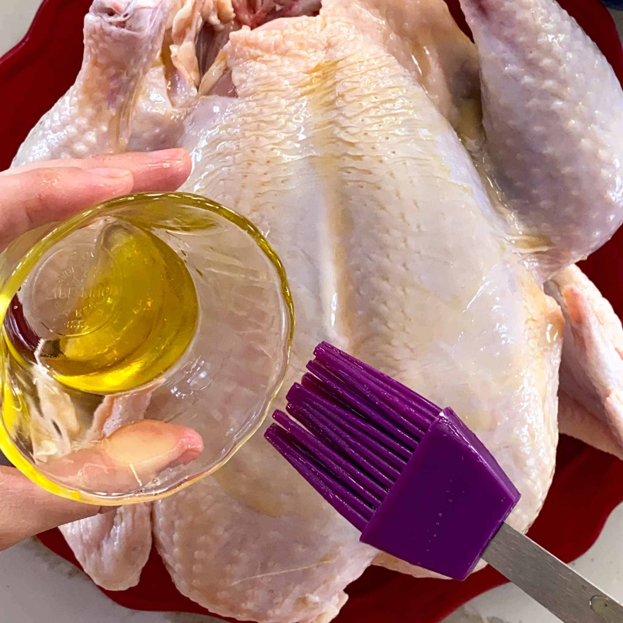 Olive oil being brushed onto a raw chicken to get ready for poultry rub.