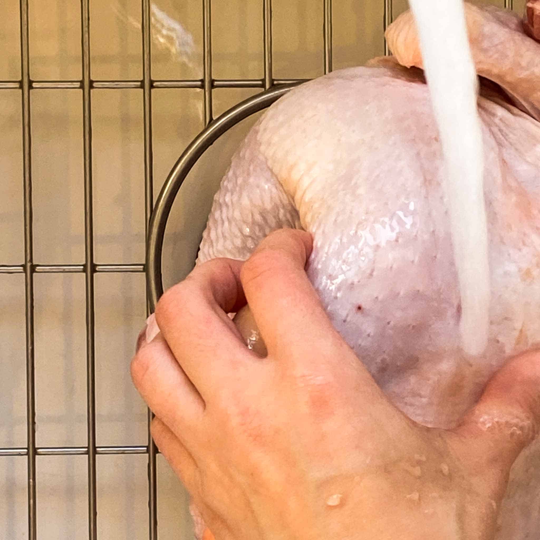 Raw chicken being washed in the sink.