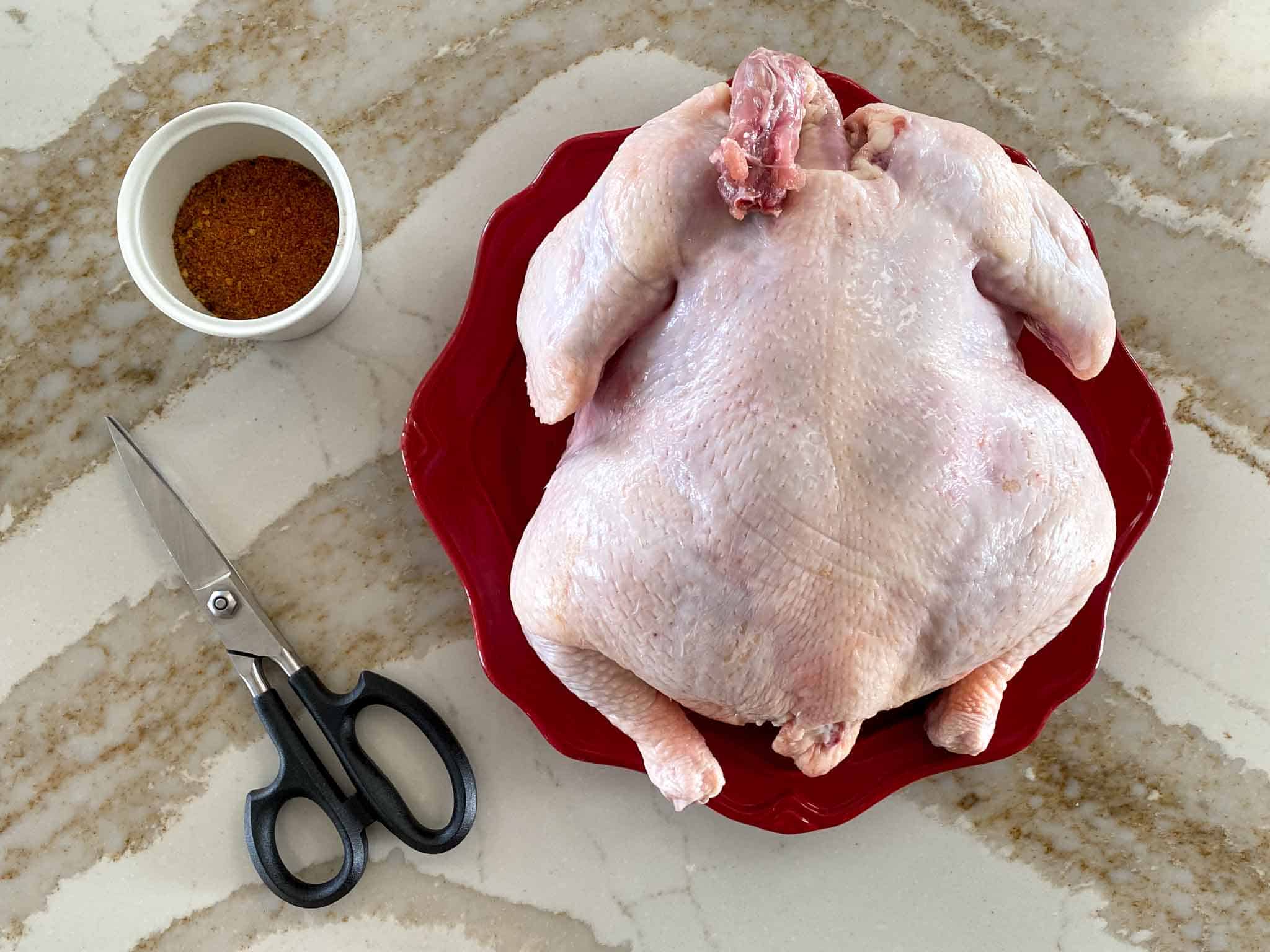 Raw roasting chicken with kitchen shears and poultry rub in a small bowl.