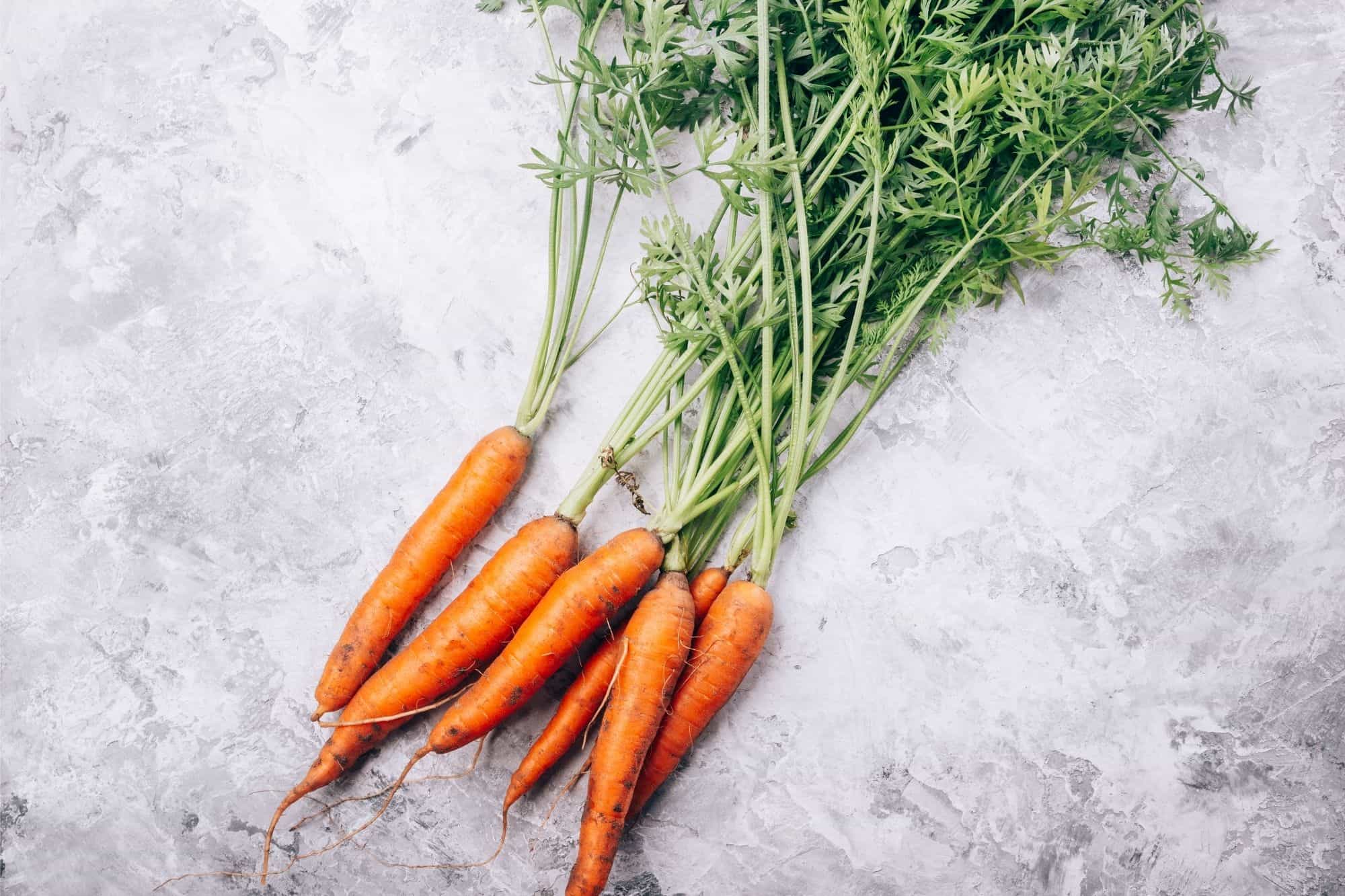 A bunch of six carrots with the green tops attached.