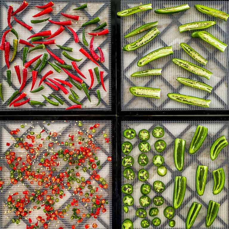 Chili peppers sliced on four dehydrator racks, ready to be dried.