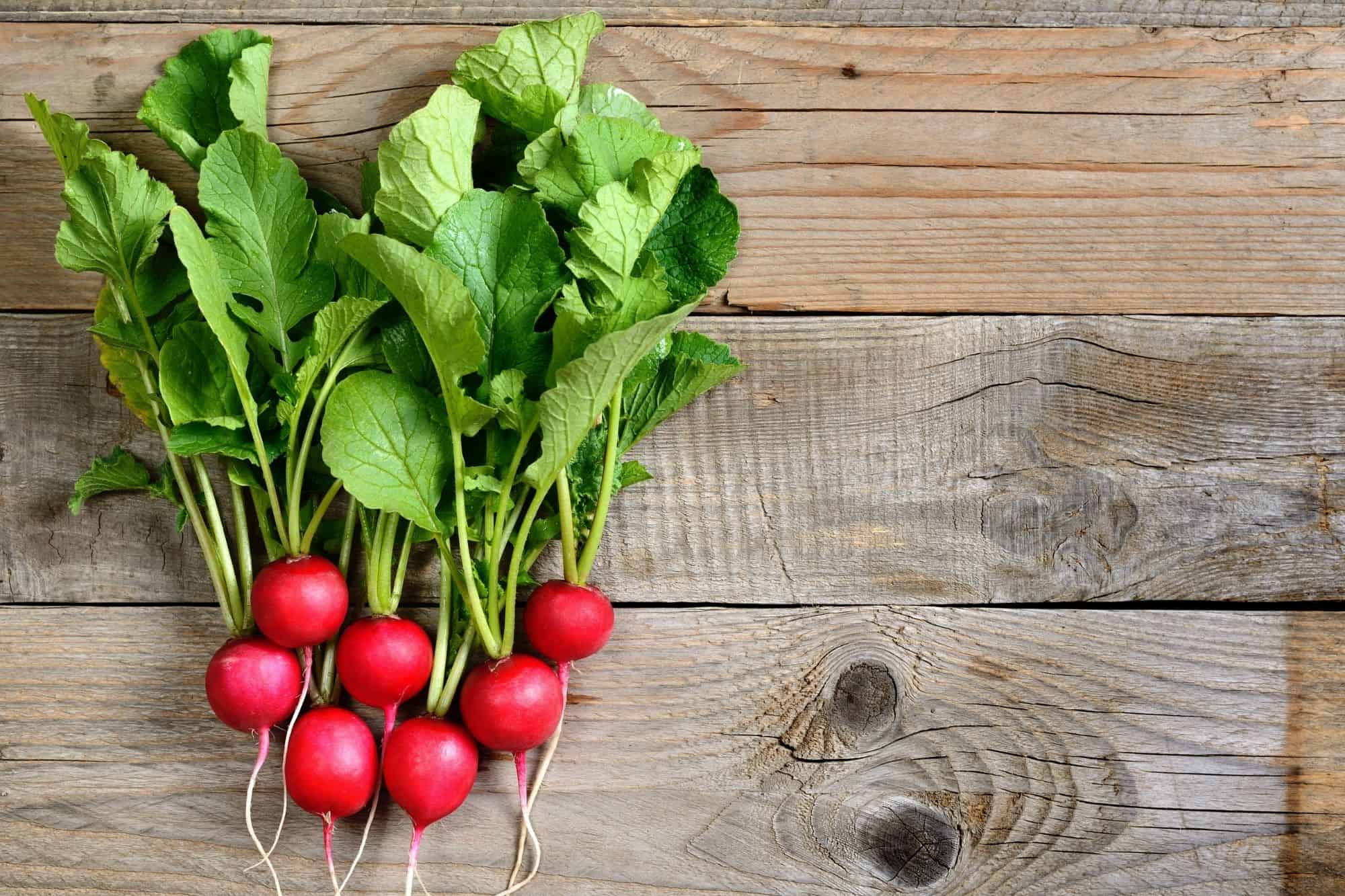 Radishes with the green tops attached on a wooden backdrop.
