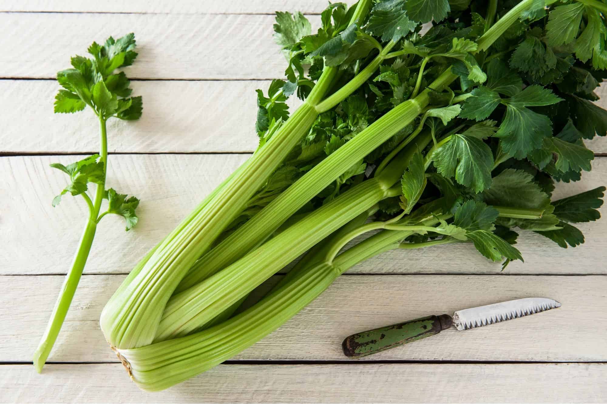 Celery on a white wooden backdrop with a sharp knife.