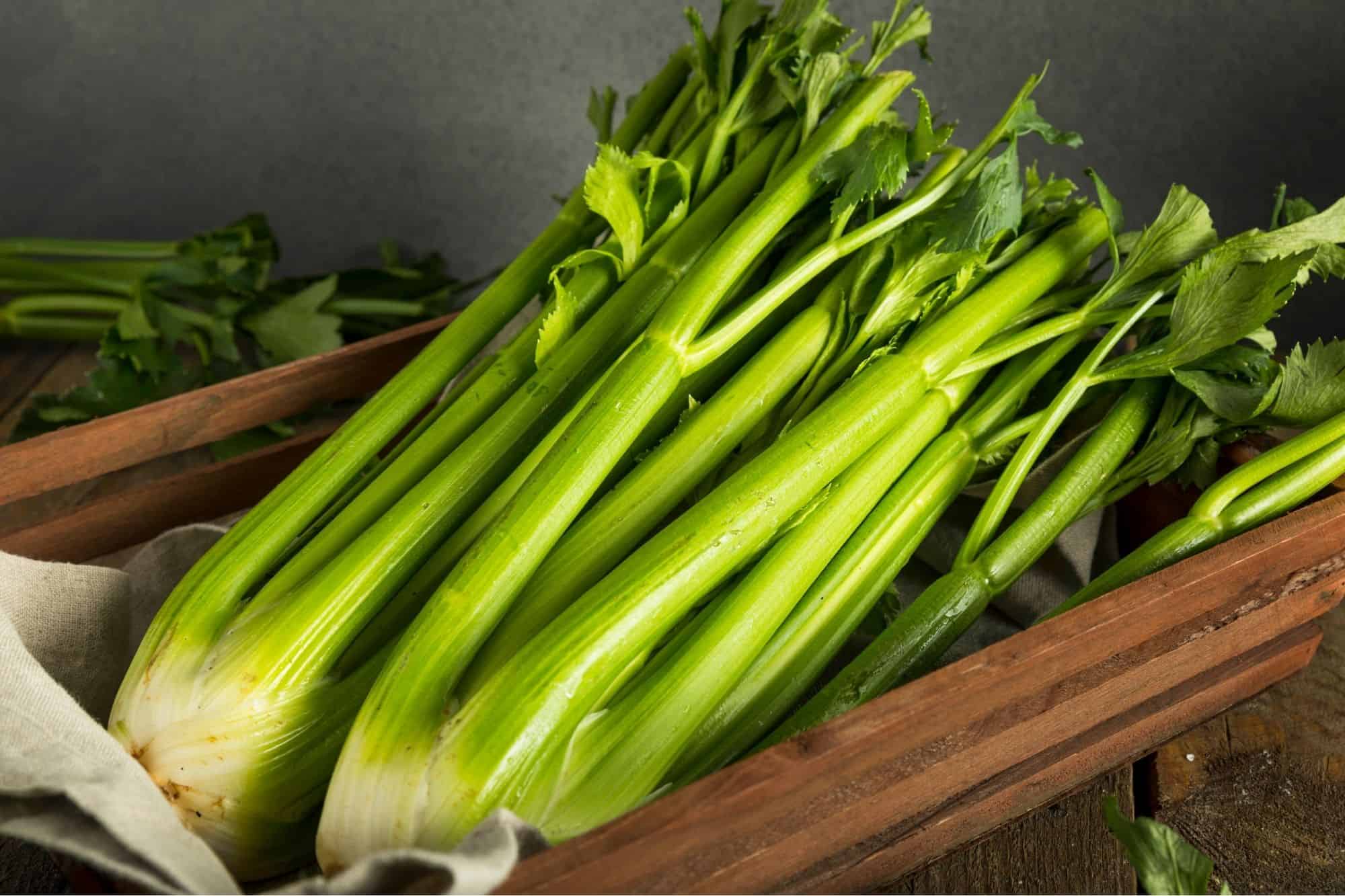 Celery stocks in a wooden box.
