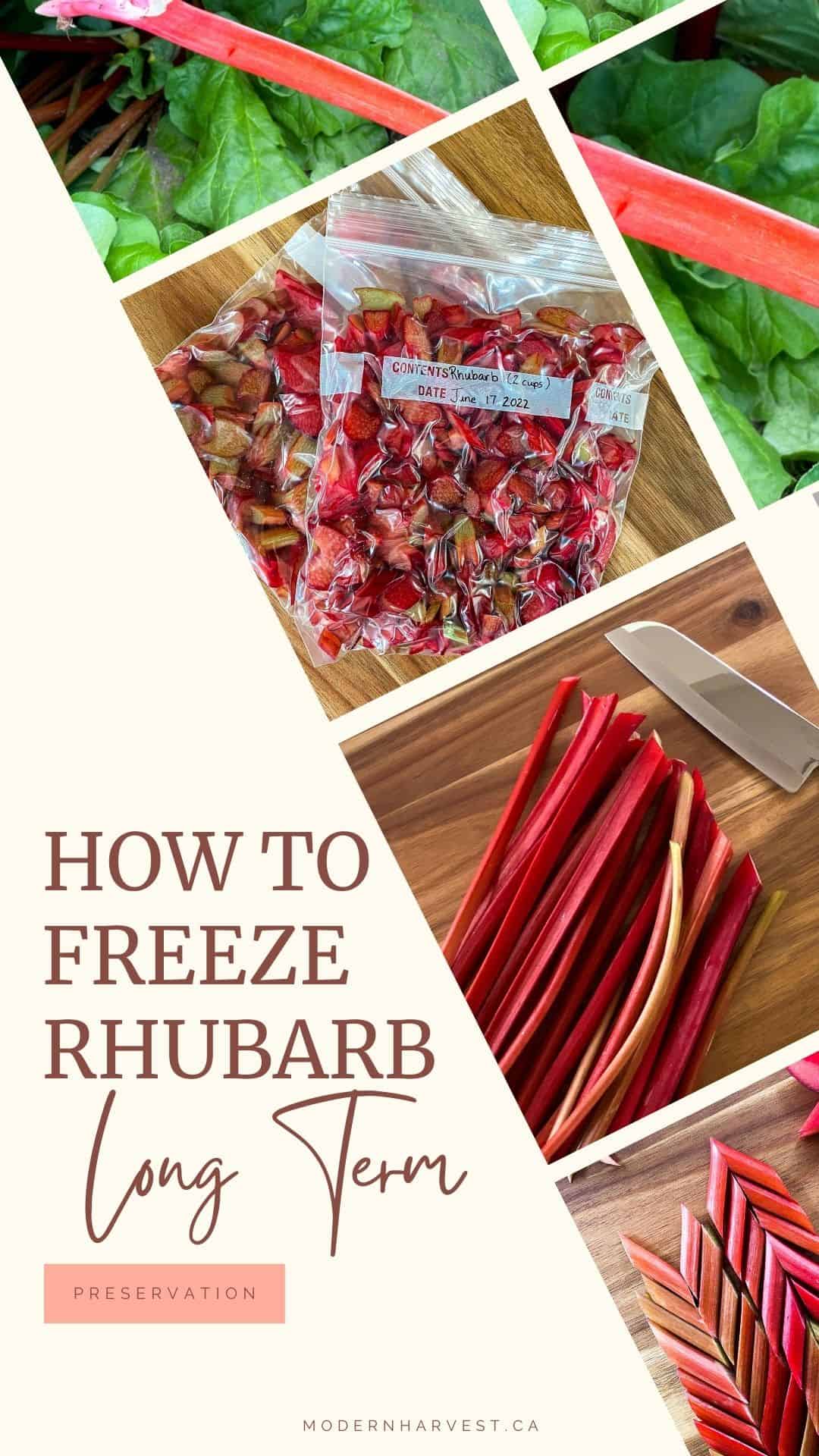 How To Freeze Rhubarb Pin