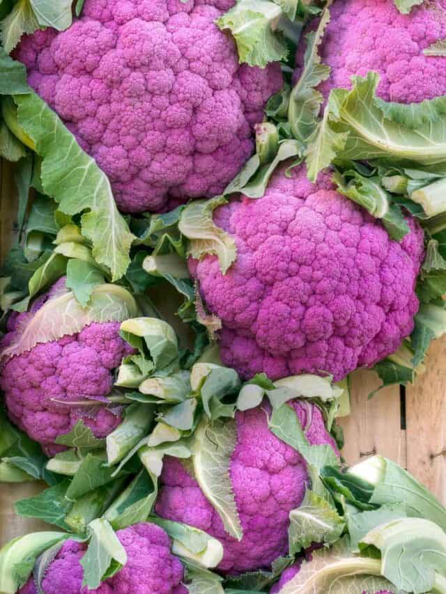 Cauliflower Companion Planting Guide – What & What NOT to Plant