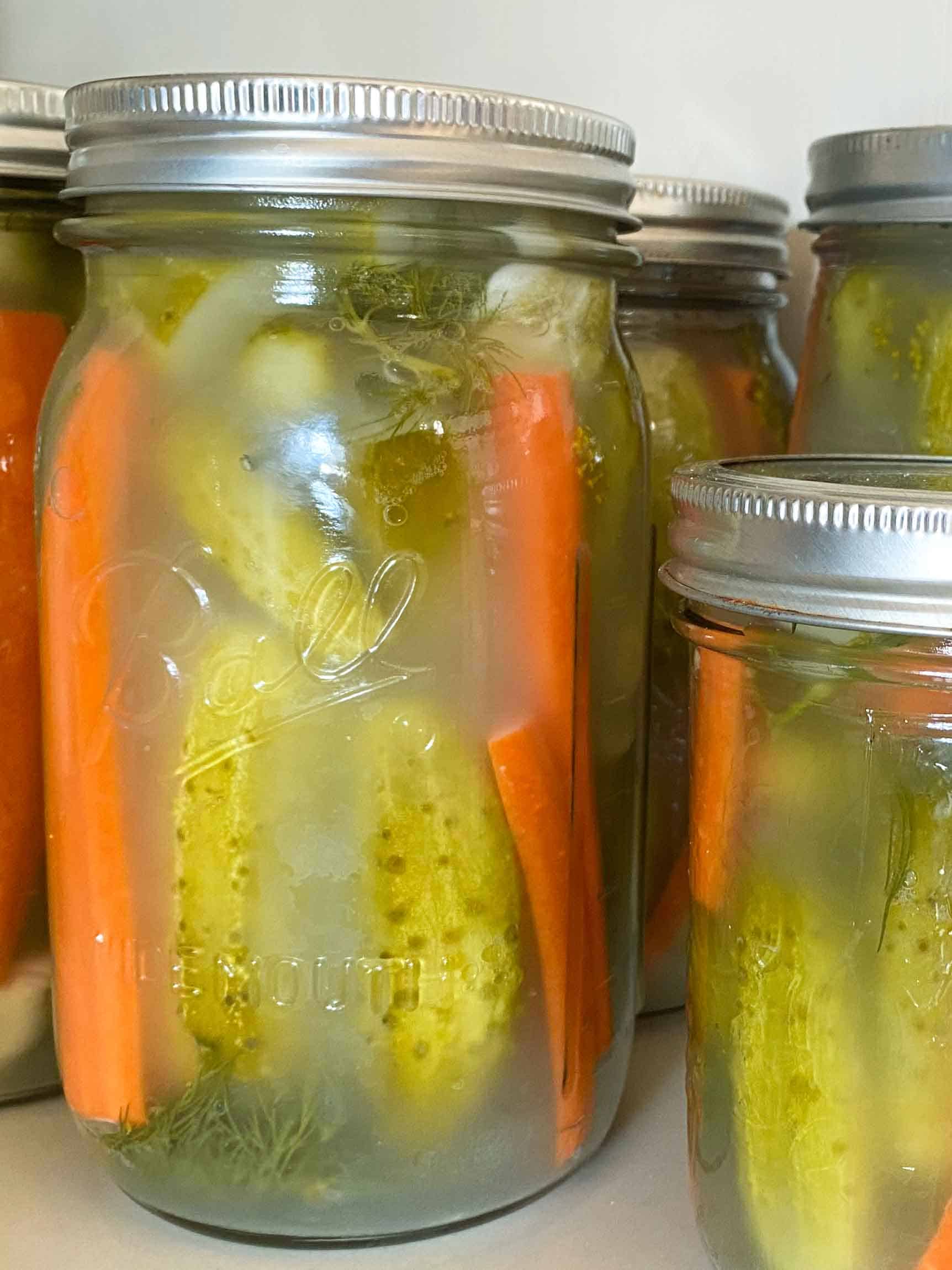 Lacto fermented pickles in cloudy brine with carrots and cucumbers visible in mason jars.