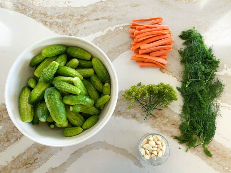 Key ingredients for old fashioned fermented dill pickles including cucumbers, dill, garlic, and carrot spears.
