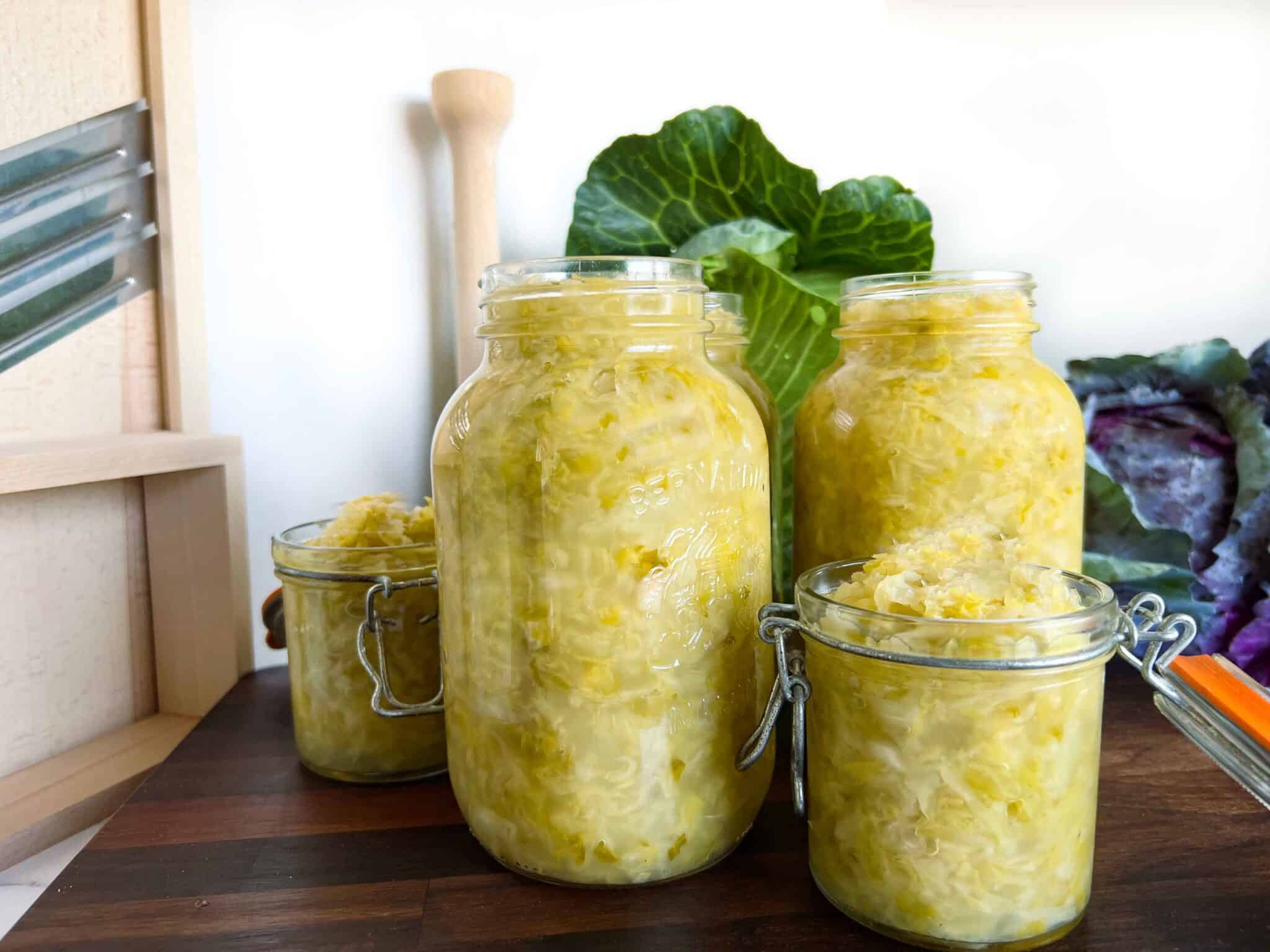 Foolproof Raw Sauerkraut Recipe | Two Ingredients - Modern Harvest