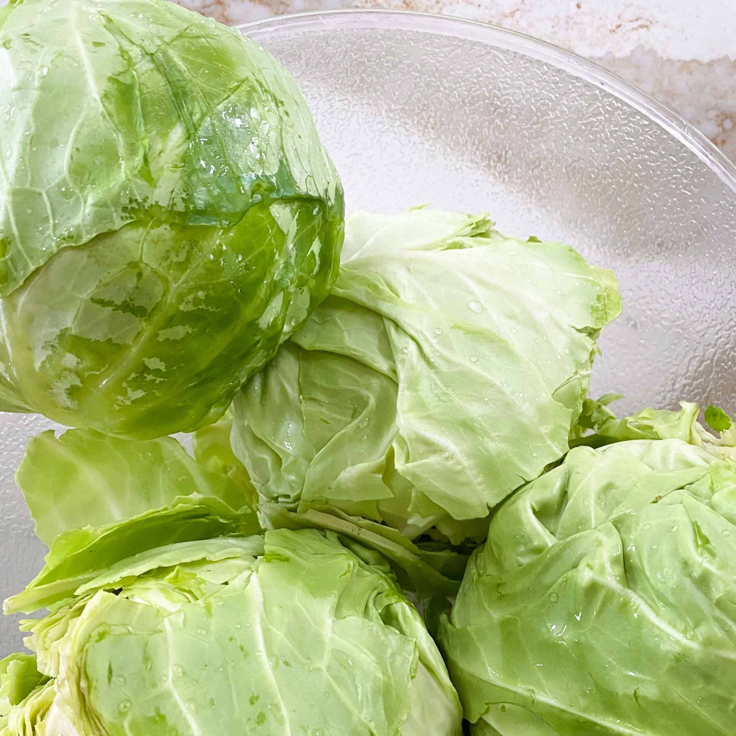 Four heads of fresh green cabbage.