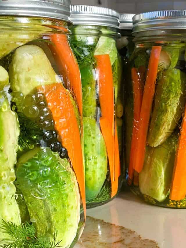 cropped-Fermented.dill_.pickles-13-scaled-1.jpg