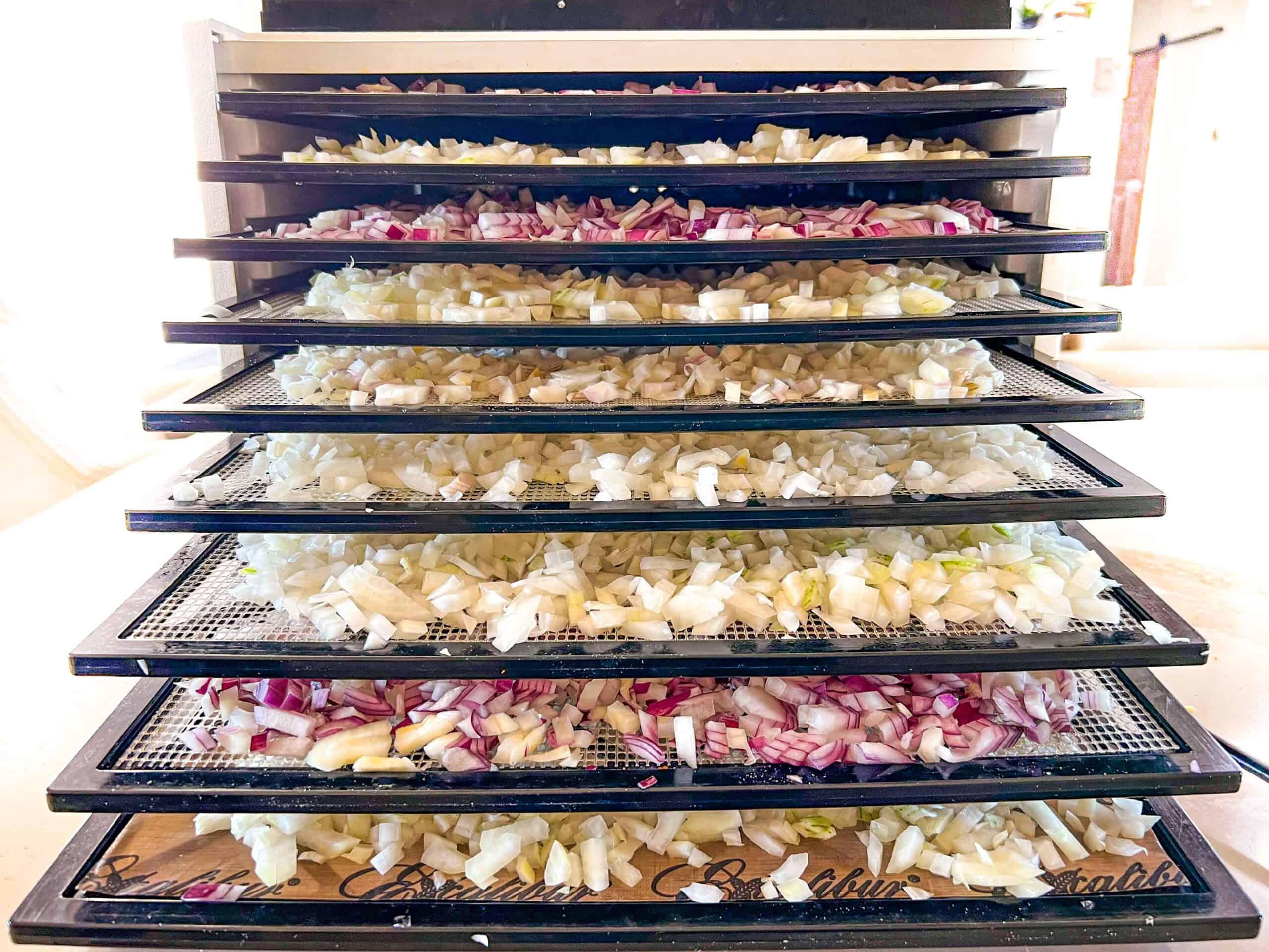 Diced onions in a 9 tray excalibur dehydrator.