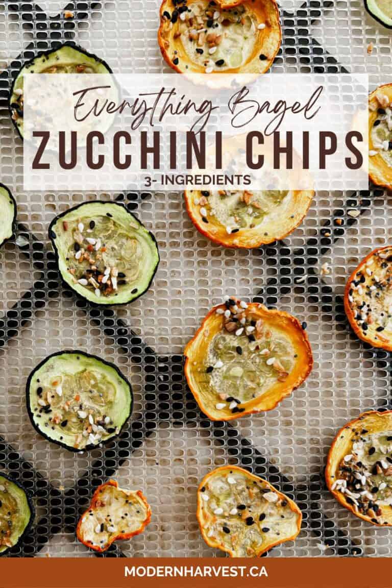 Everything Bagel Zucchini Chips Pinterest Pin