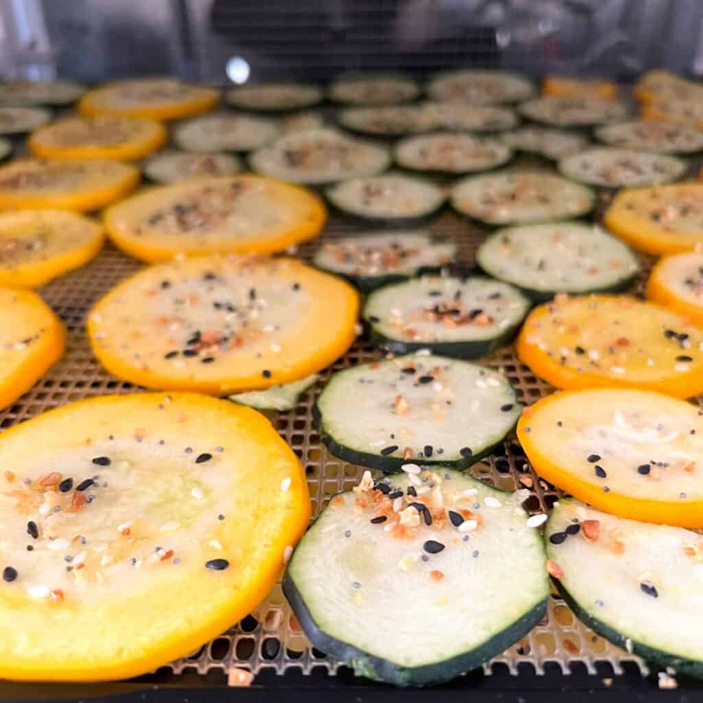Everything Bagel Zucchini Chips 3 Ways Oven, Air Fryer, Dehydrator
