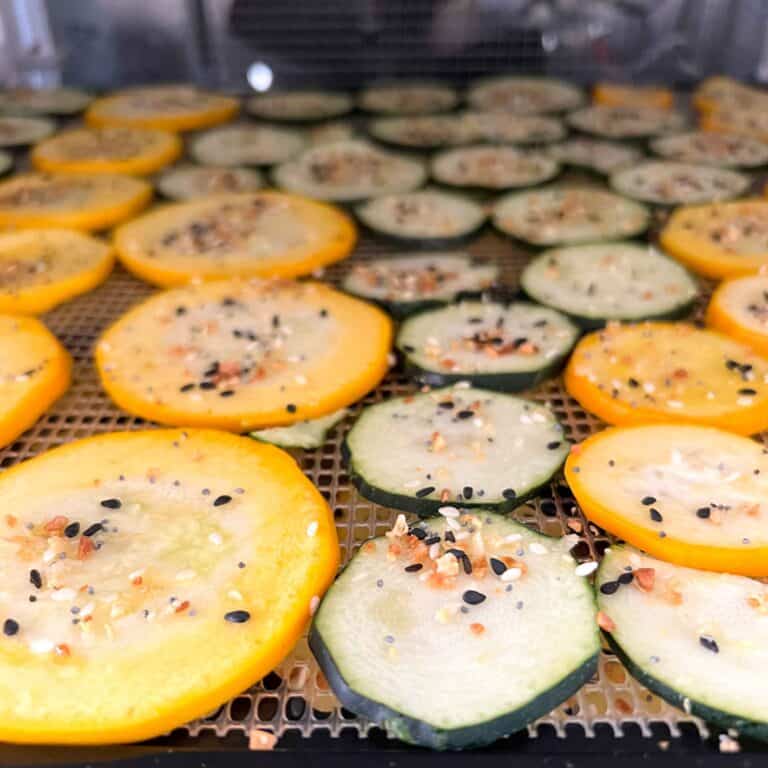 Sliced zucchini seasoned with everything bagel spice and arranged on excalibur dehydrator trays.