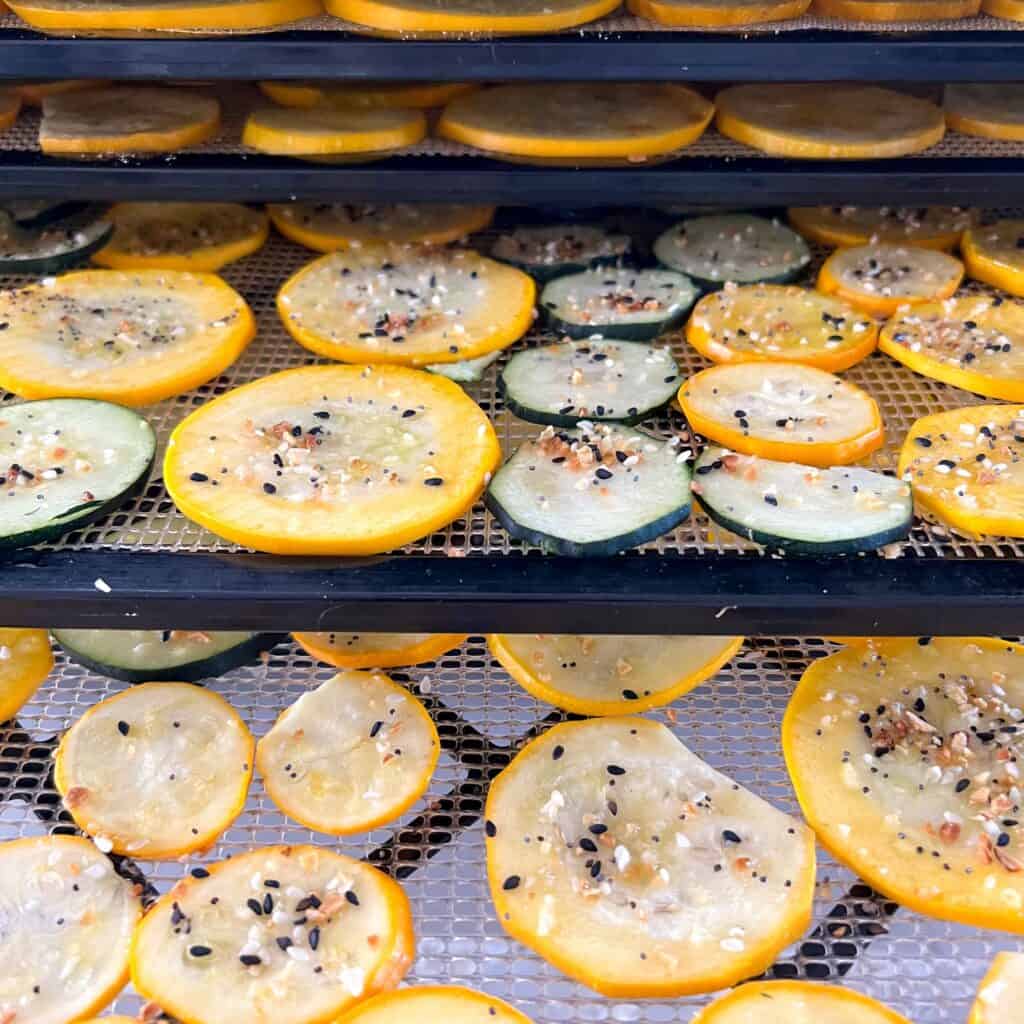 Everything Bagel Zucchini Chips 3 Ways Oven, Air Fryer, Dehydrator