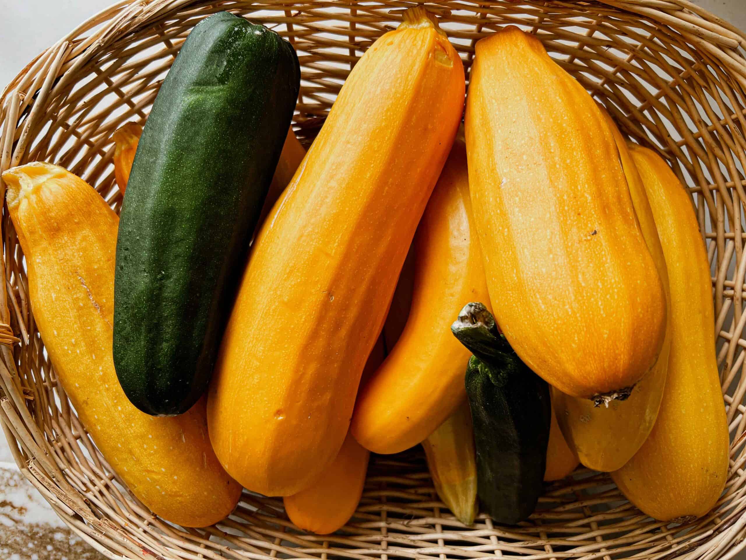 Green and yellow zucchini piled into a wicker harvest basket.