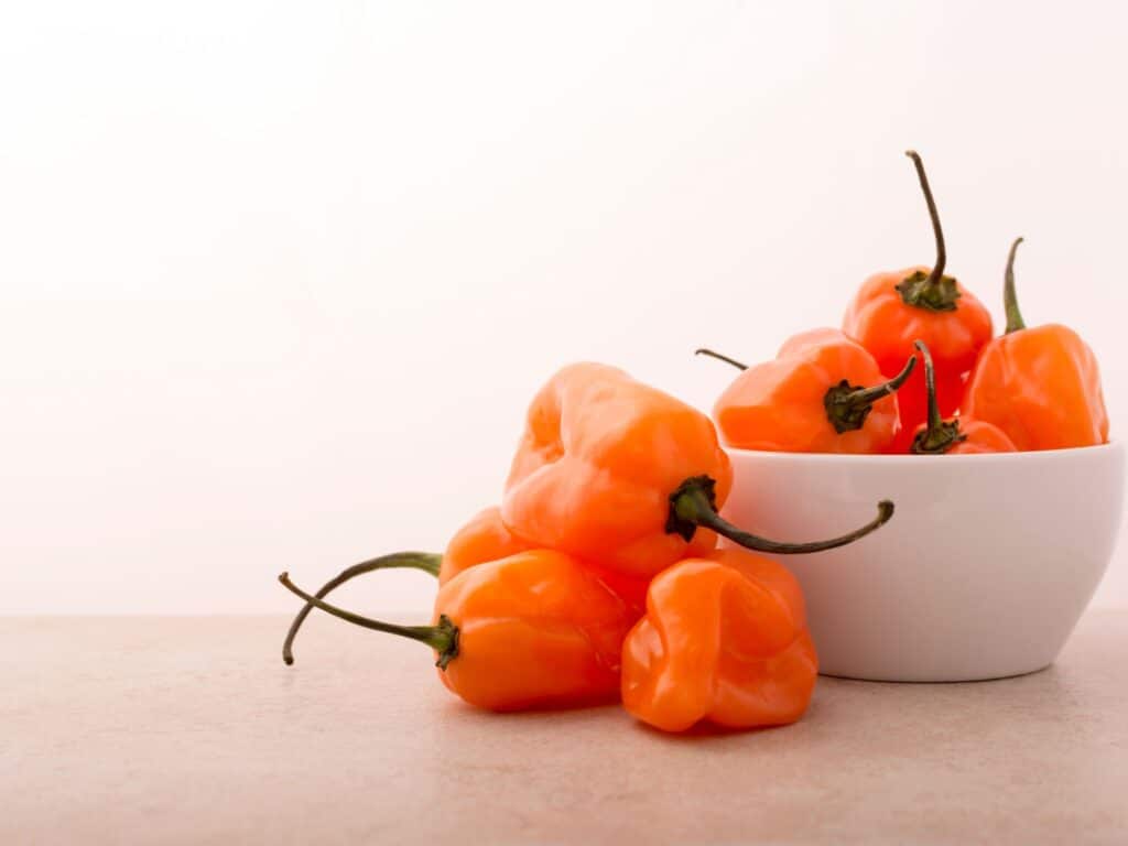 Habanero peppers in a white bowl and beside.