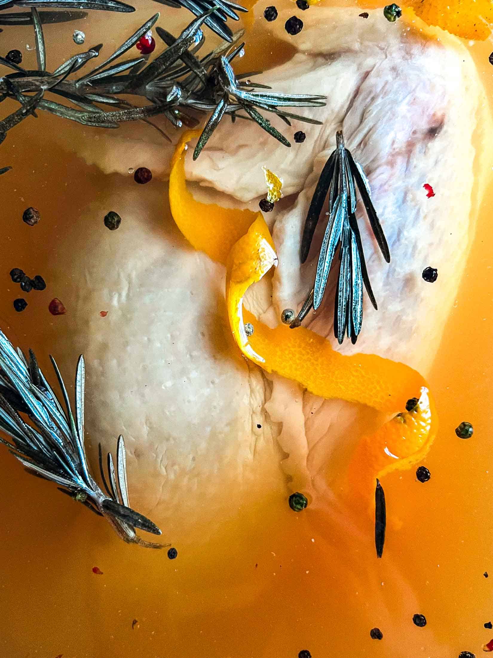 Turkey sitting under the brine with orange peels, rosemary, and peppercorns floating.
