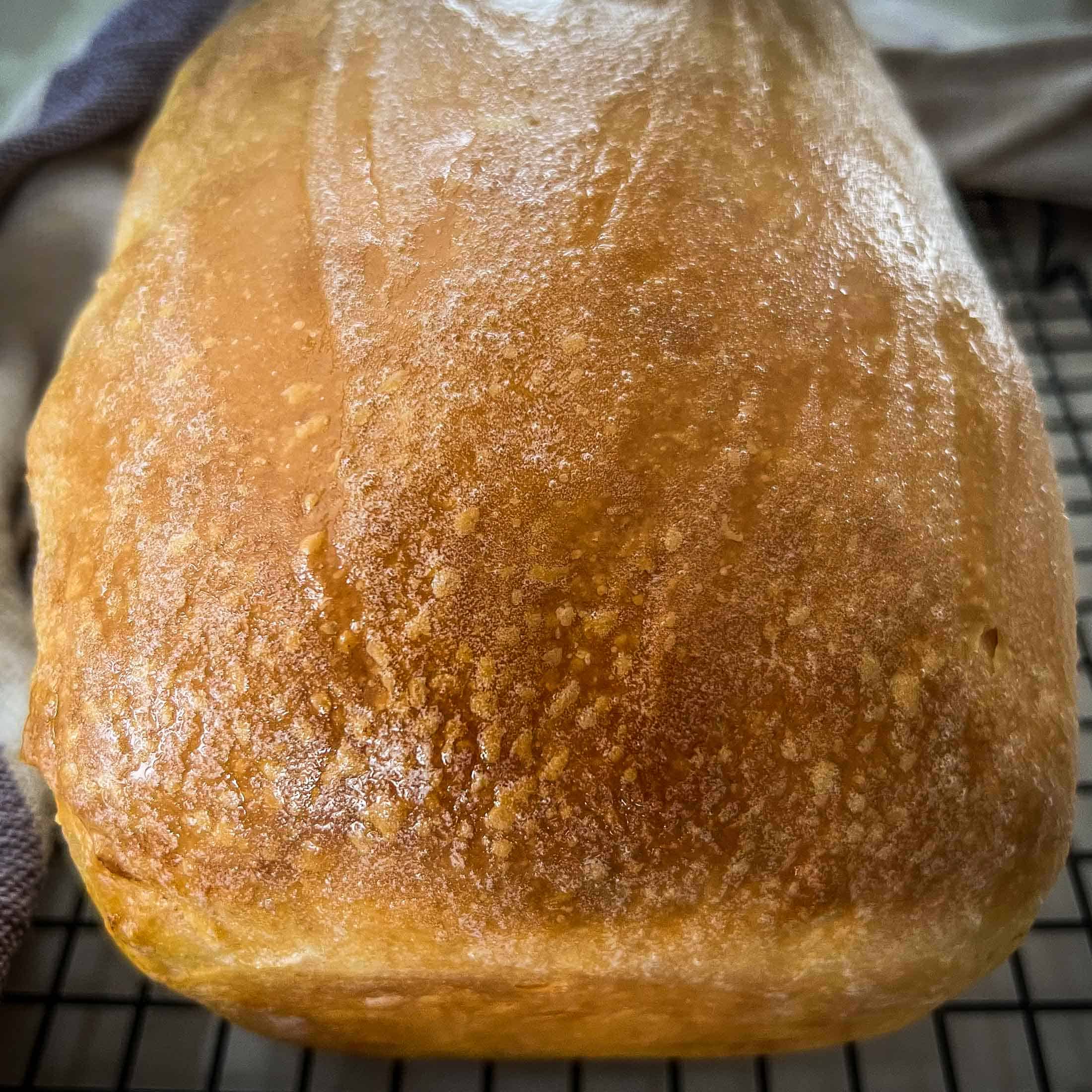 Sourdough sandwich loaf close up showing a browned crust shiny from butter.