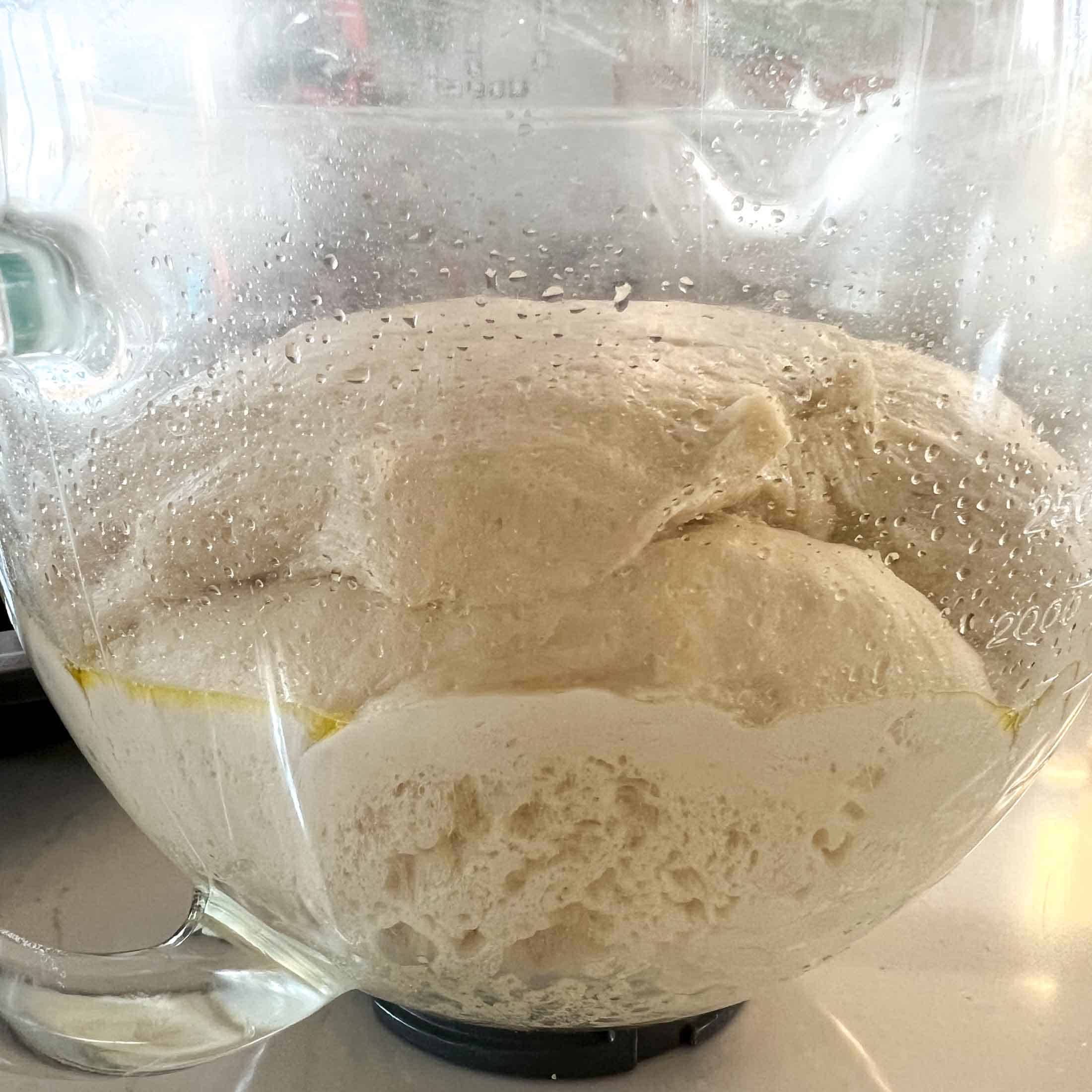 Sourdough bread risen in a glass kitchenaid mixer bowl.