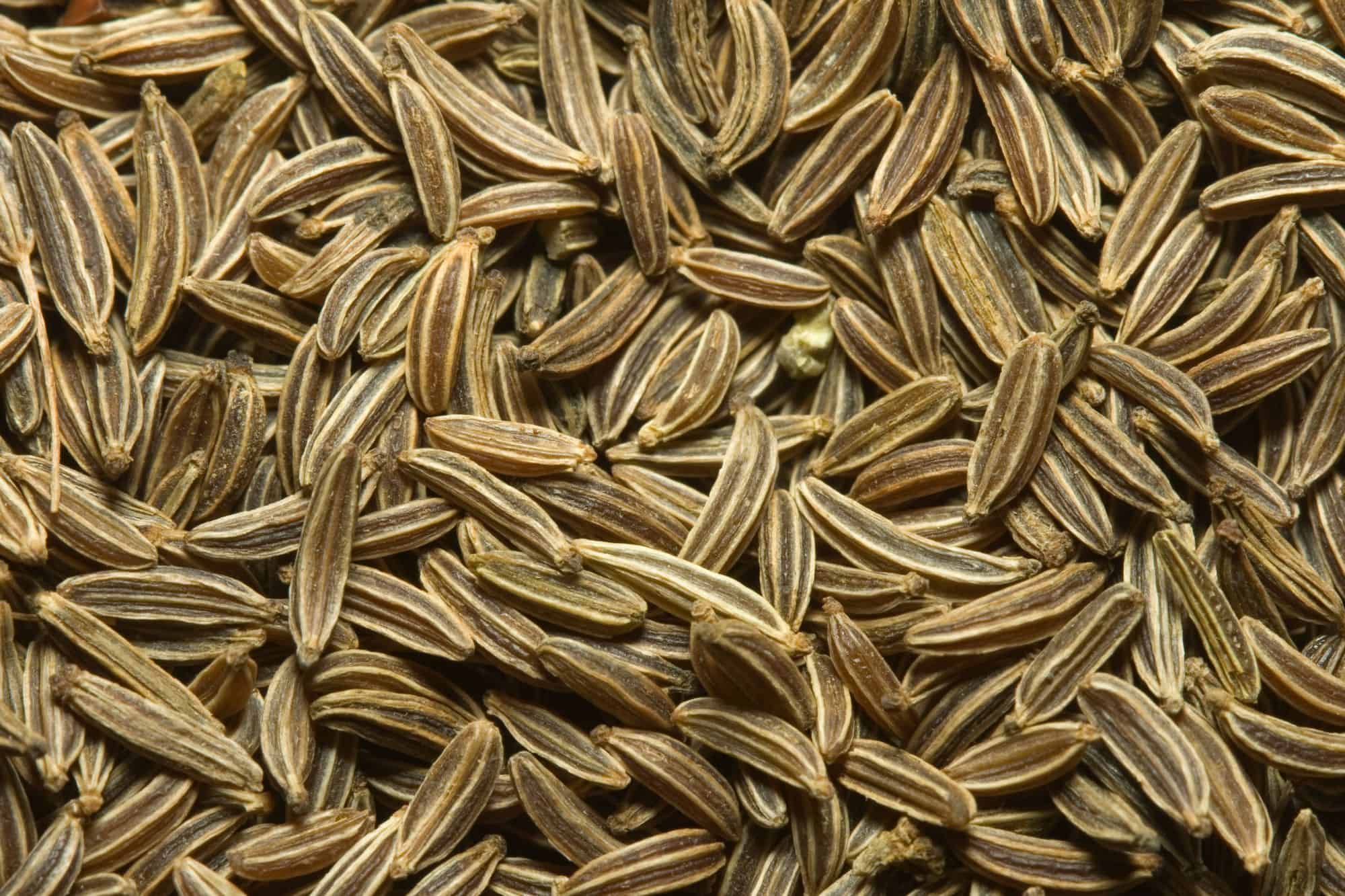 Caraway Seeds close up.