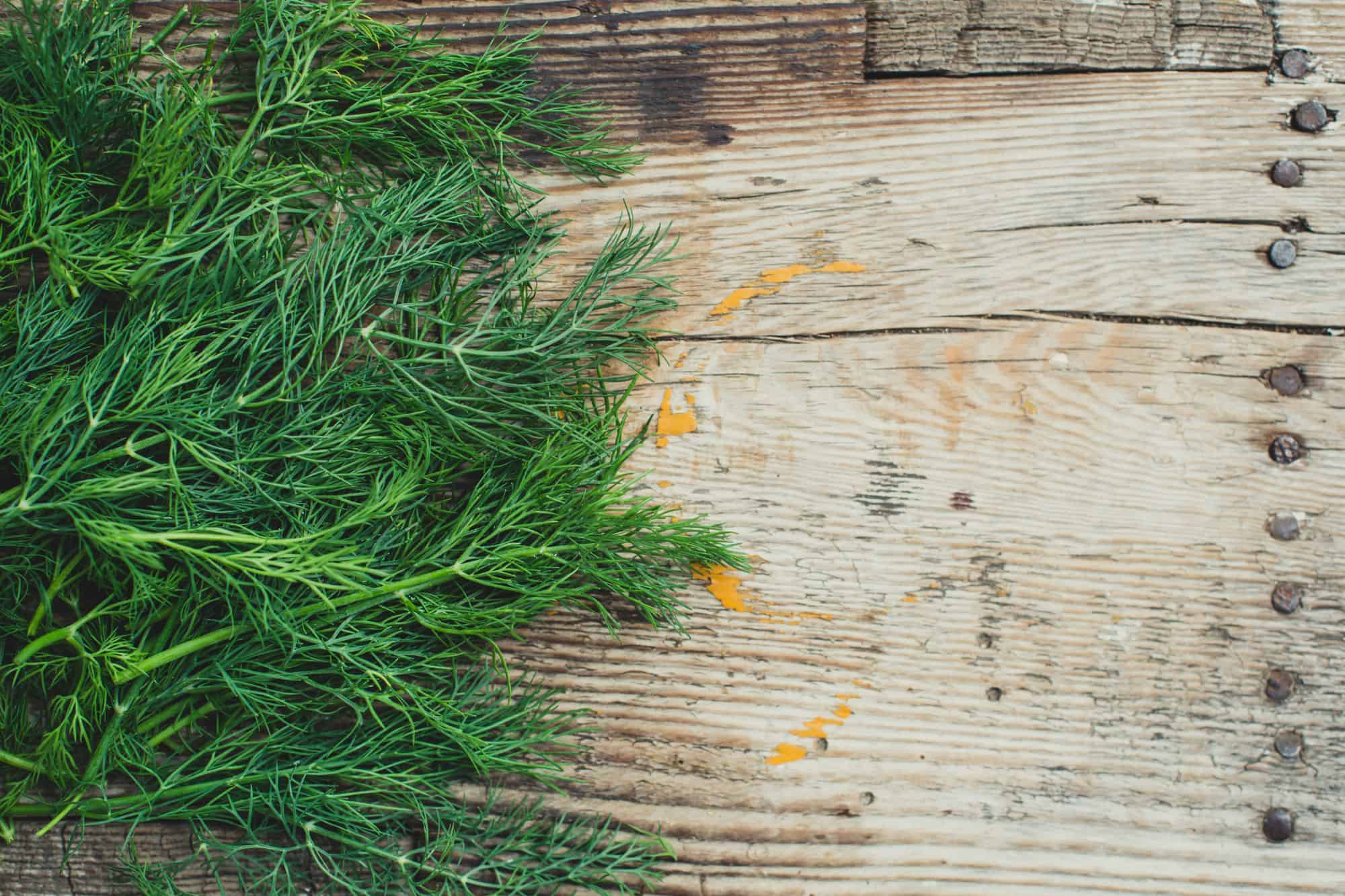 Sprigs of dill on a wooden board.