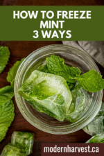 How To Freeze Mint 3 Ways | Whole Leaves, In Oil, In Water