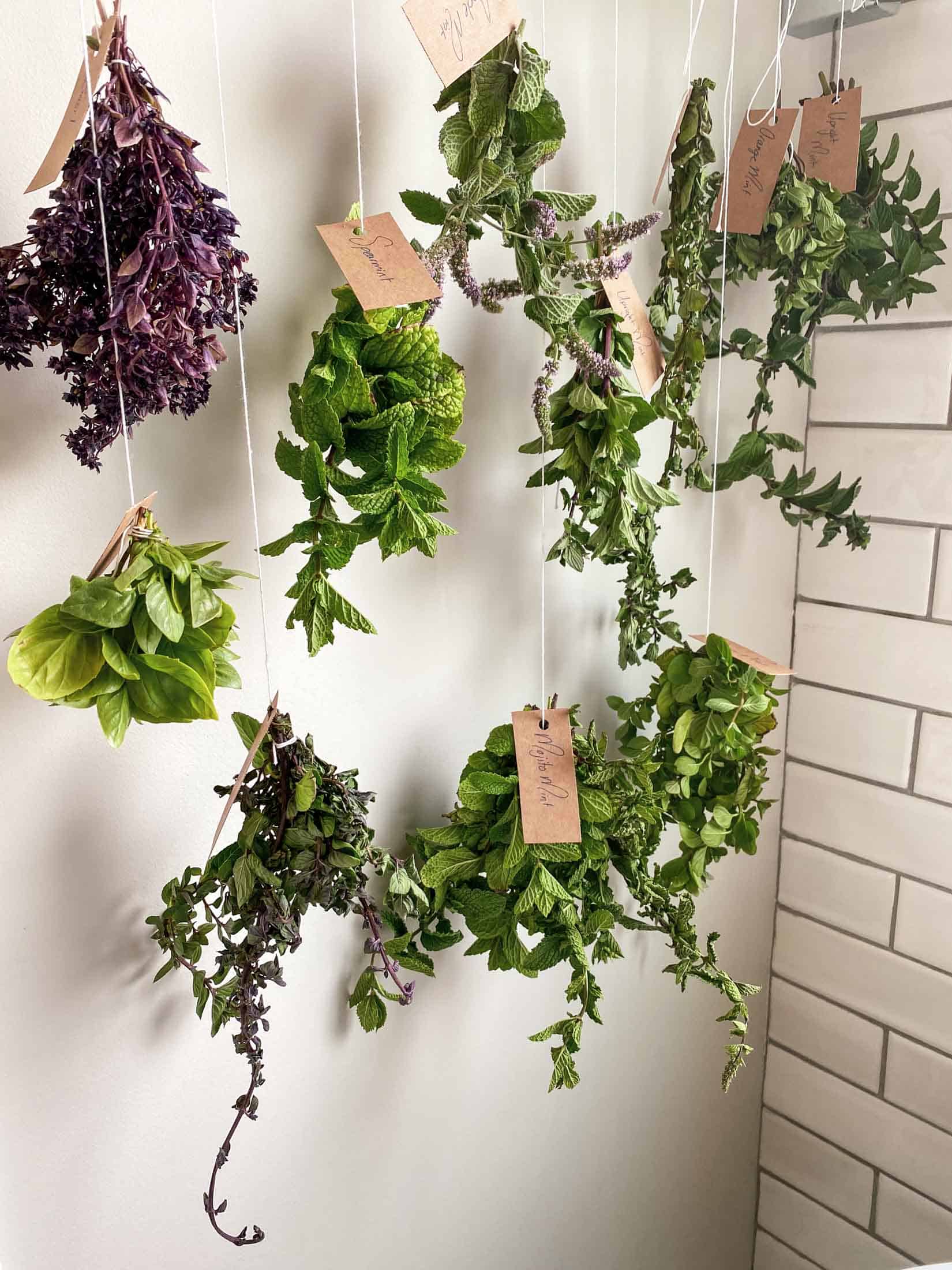 Herbs hanging to dry including mint and basil with brown craft paper tags.