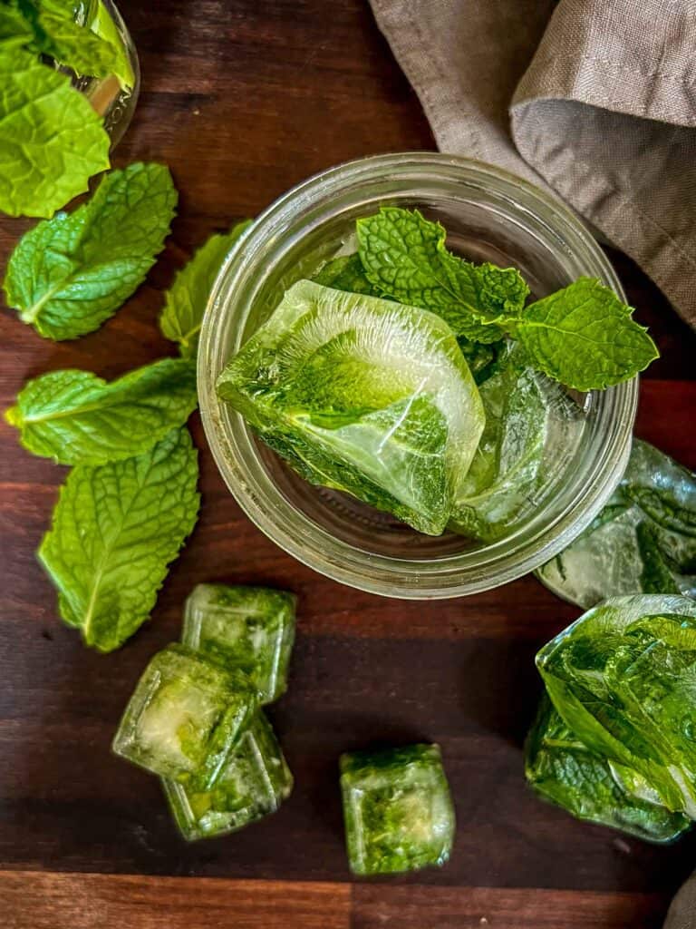 Mint frozen in ice cubes with water, placed in an around a mason jar for preserving.