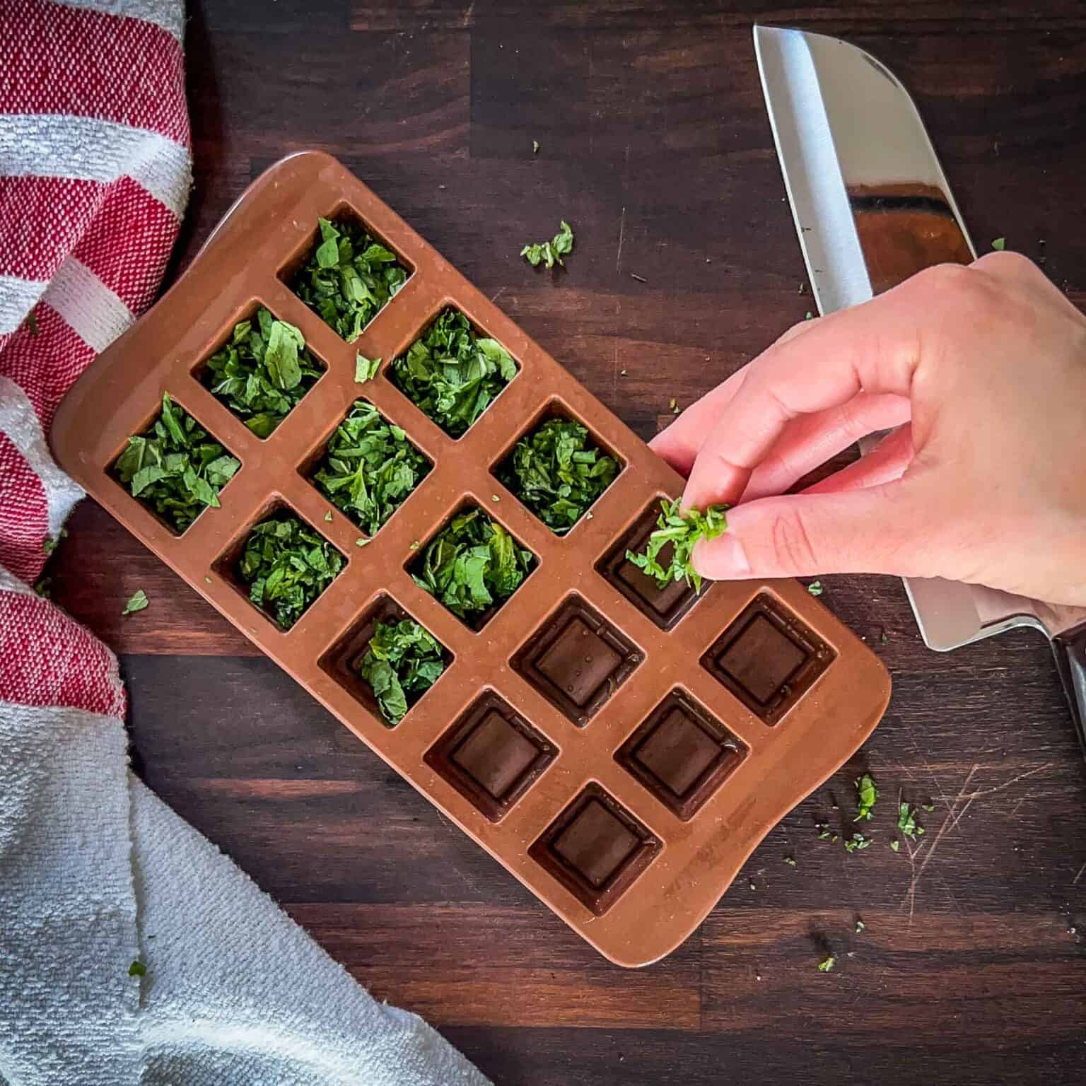 How To Freeze Mint 3 Ways | Whole Leaves, In Oil, In Water