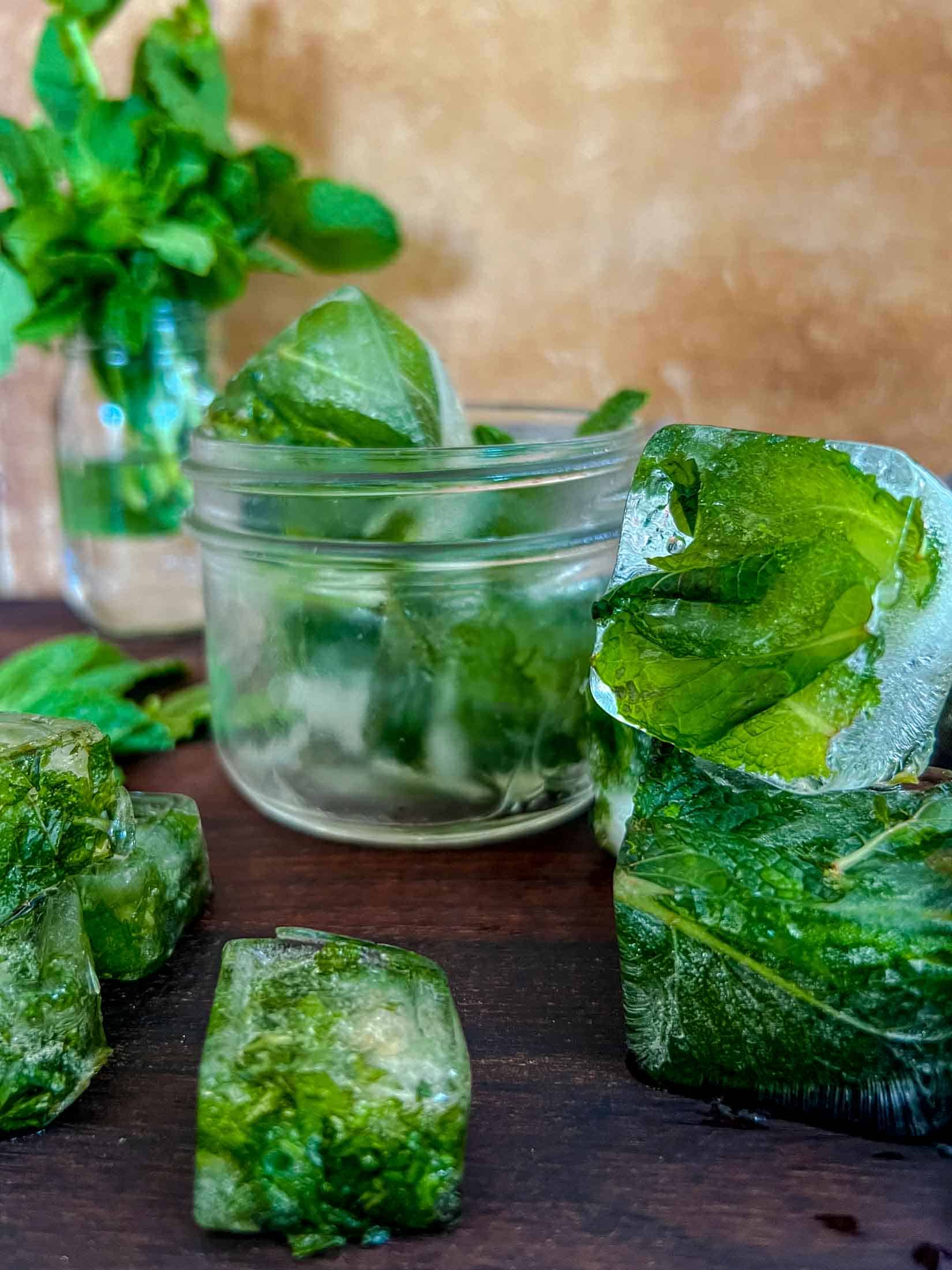 Large ice cubes filled with frozen mint and water in a mason jar with a bundle of fresh mint in the background.