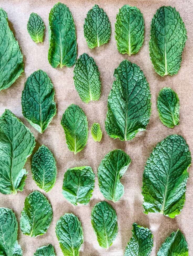 How To Freeze Mint 3 Ways | Whole Leaves, In Oil, In Water