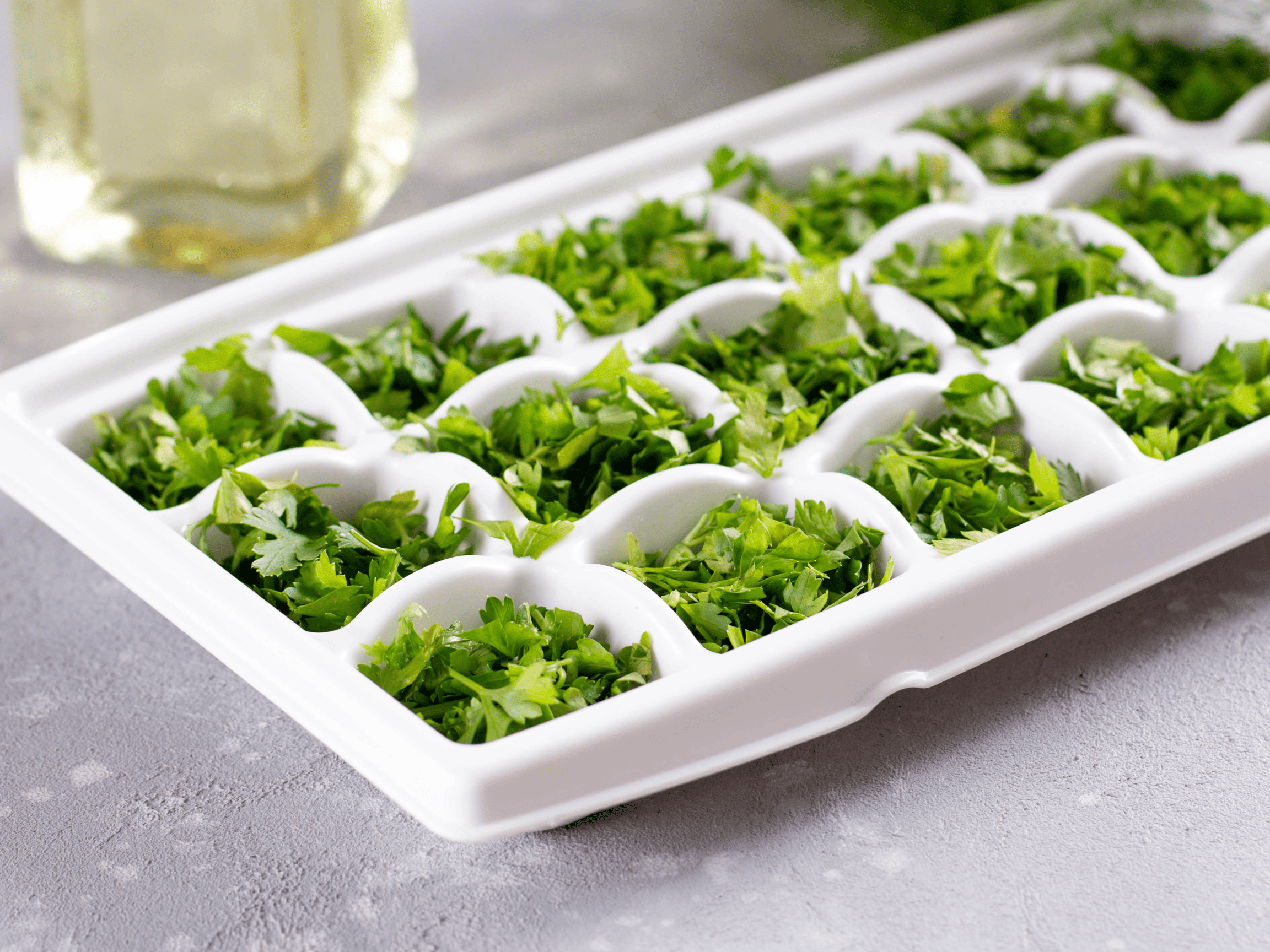 Chopped parsley in an ice cube tray with oil in the background.