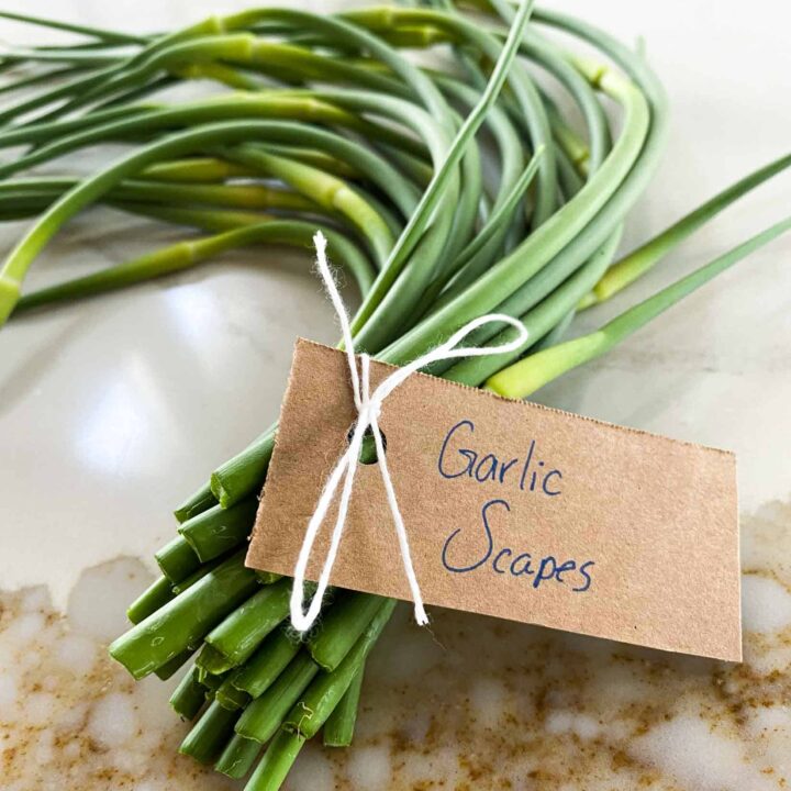 Garlic scapes tied with white string and a brown tag.