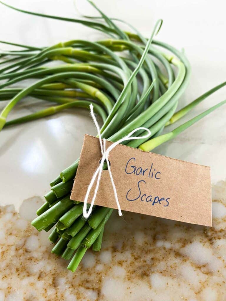 Garlic scapes tied with white string and a brown tag.