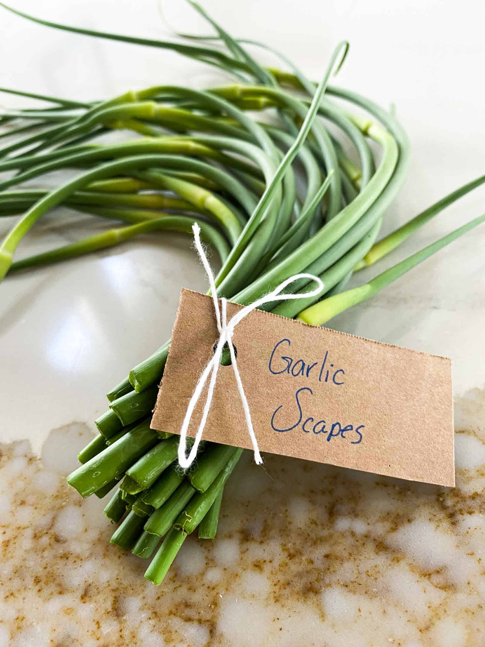 Freshly harvested garlic scapes tied with white string and a brown tag.