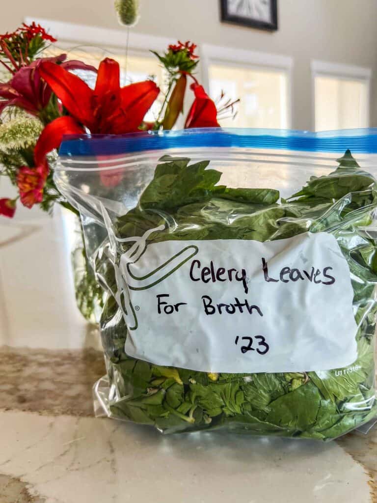 Celery leaves in a bag for stock.