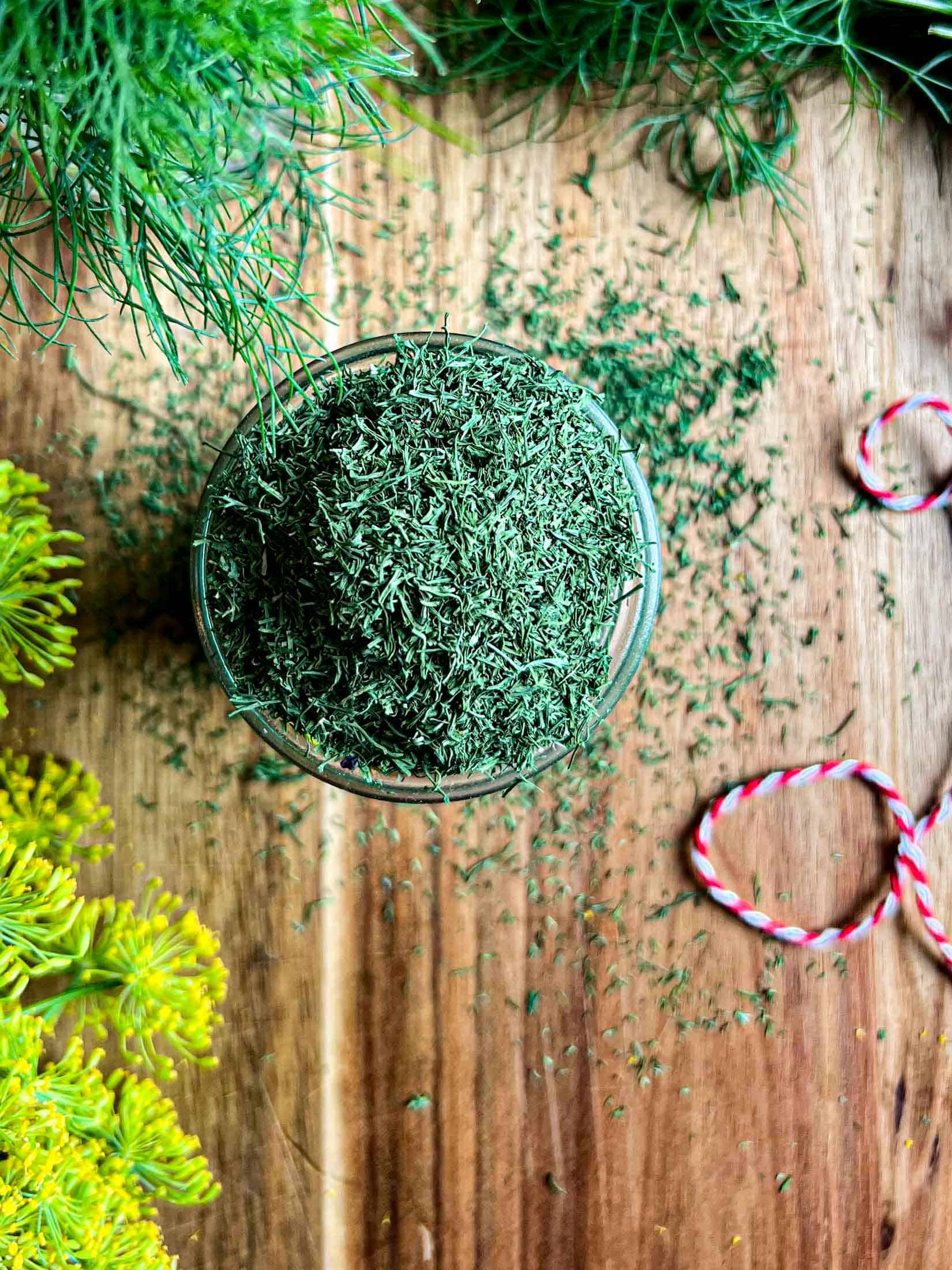 A closeup of dried dill flakes with dill flowers and fresh dill surrounding it.