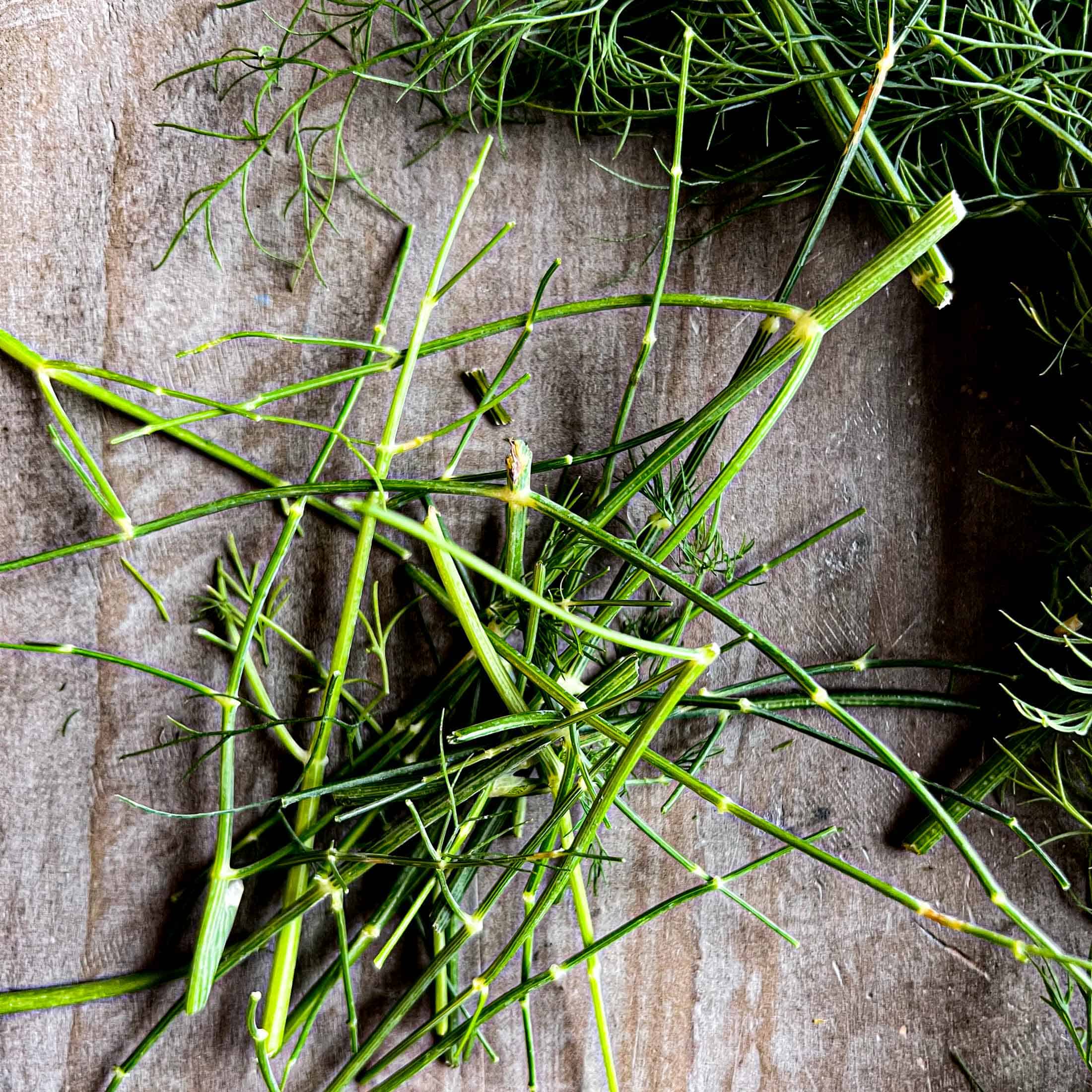 Dill stems with the leaves removed.